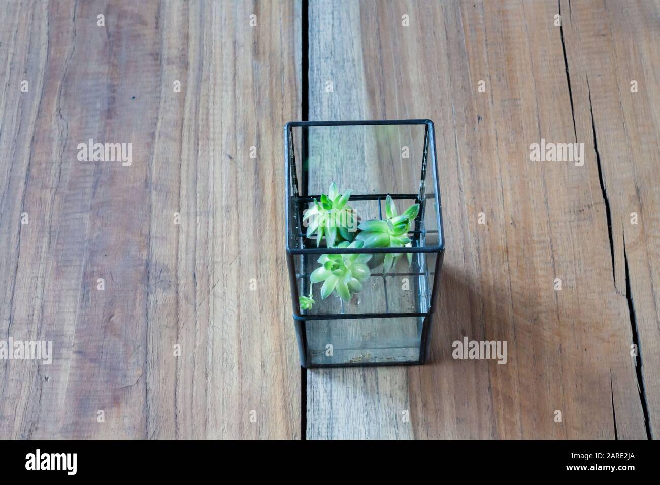 Élément décoré dans un café, stock photo Banque D'Images