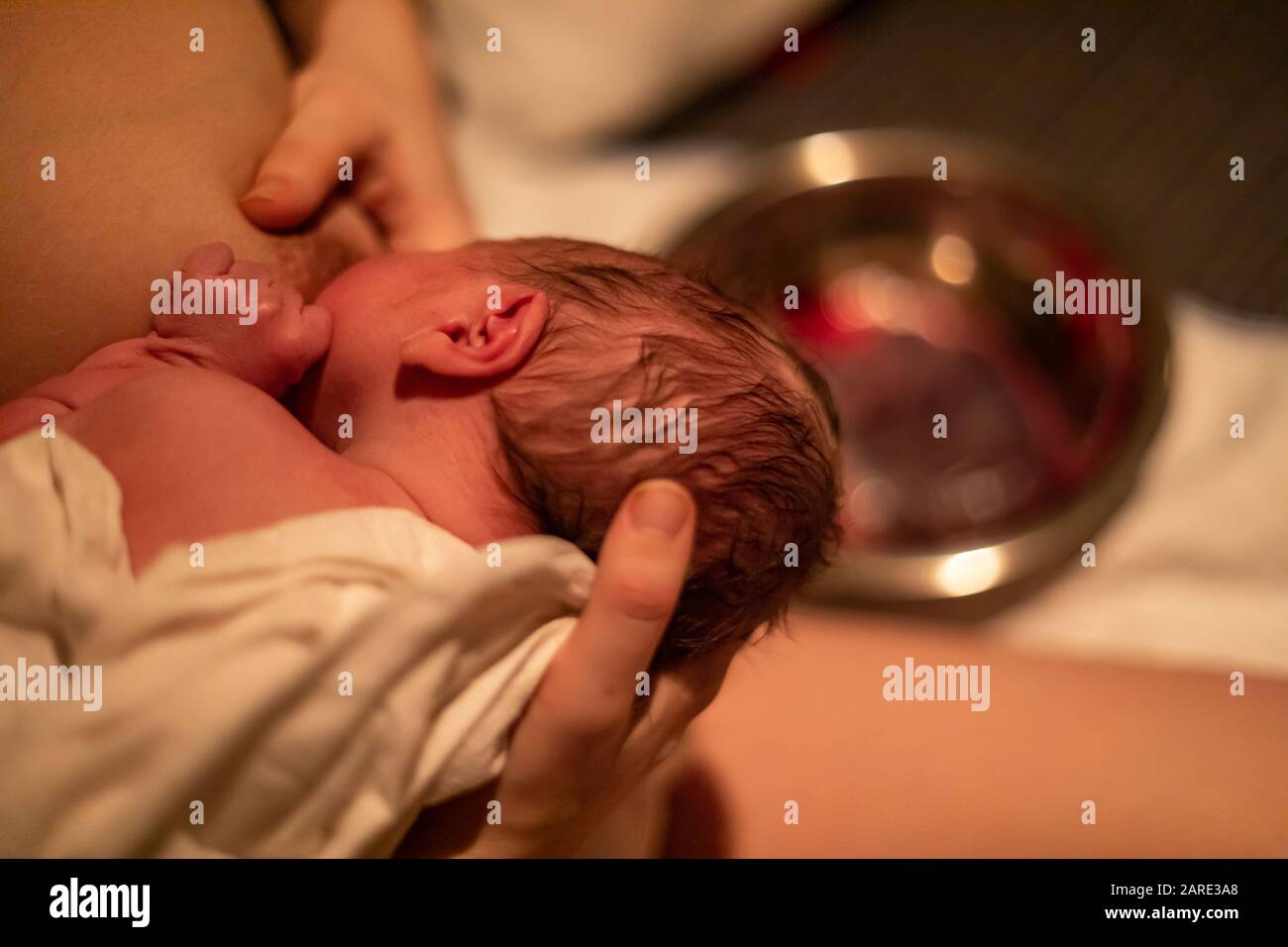 Beau moment juste après la naissance, mère et enfant lien pendant le premier allaitement dans la salle post-partum, les premières heures de vie avec espace de copie à droite Banque D'Images