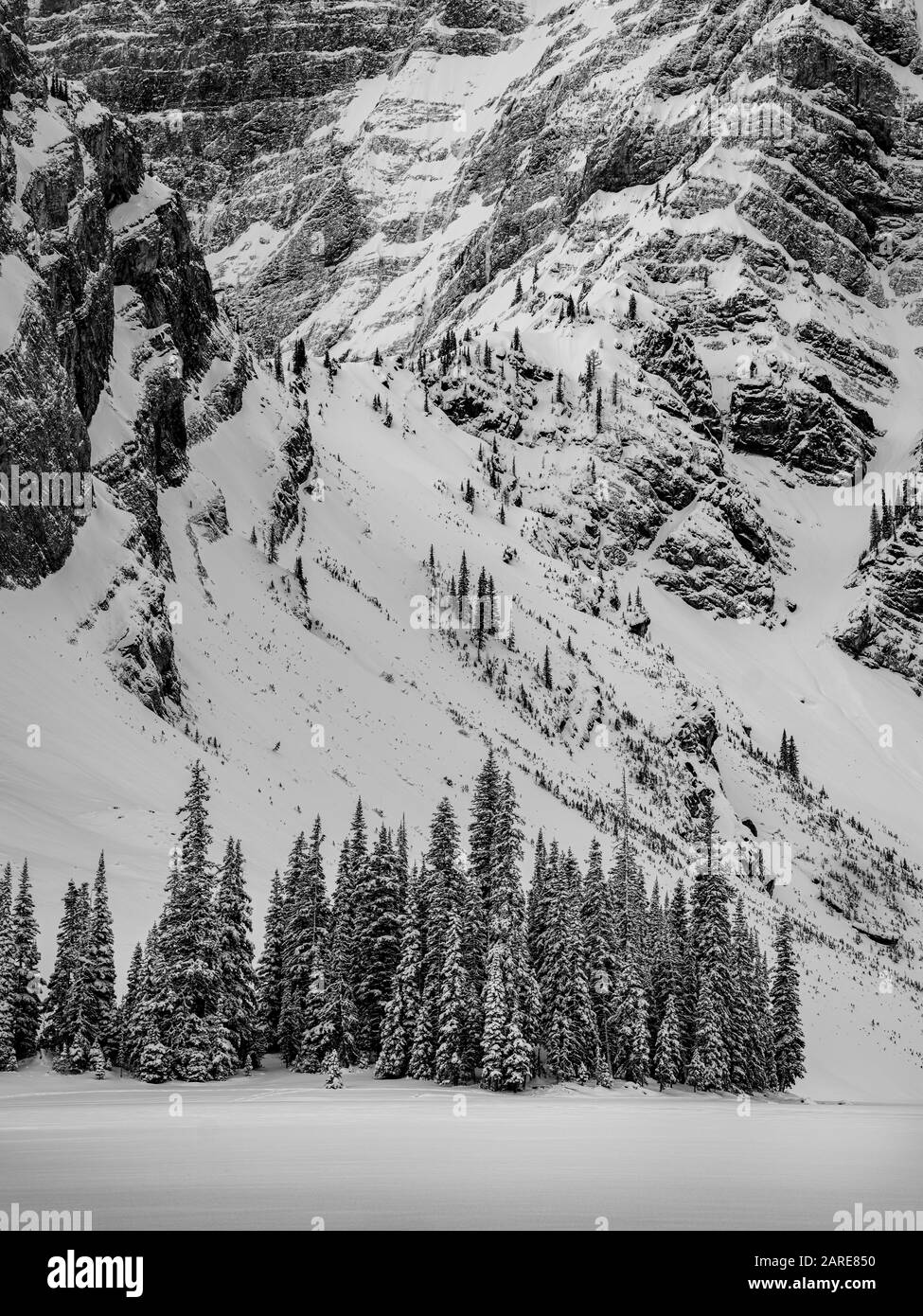 Lever du soleil Rocheuses canadiennes avec ciel rose, risque d'avalanche, parc national Banff, Alberta, Canada. Banque D'Images