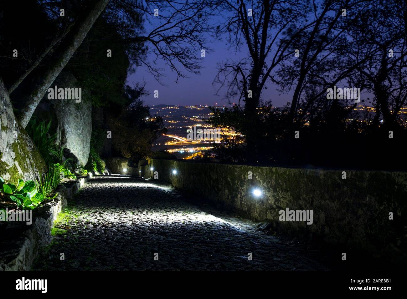 Trottoir entouré de rochers couverts de mousse avec la ville s'allume en arrière-plan la nuit Banque D'Images