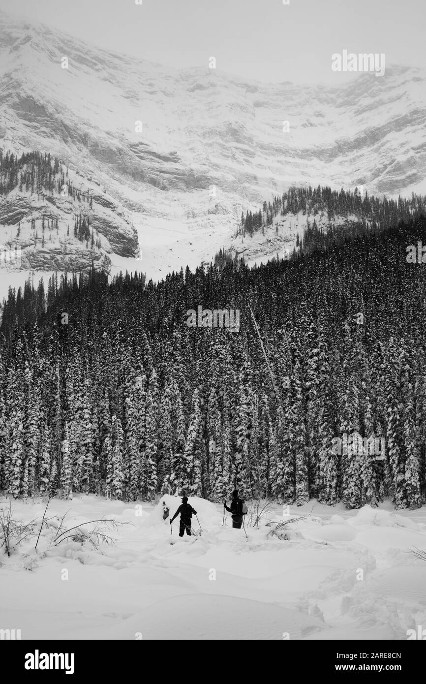 Deux Skieurs De Campagne Entourés De Montagnes Banque D'Images