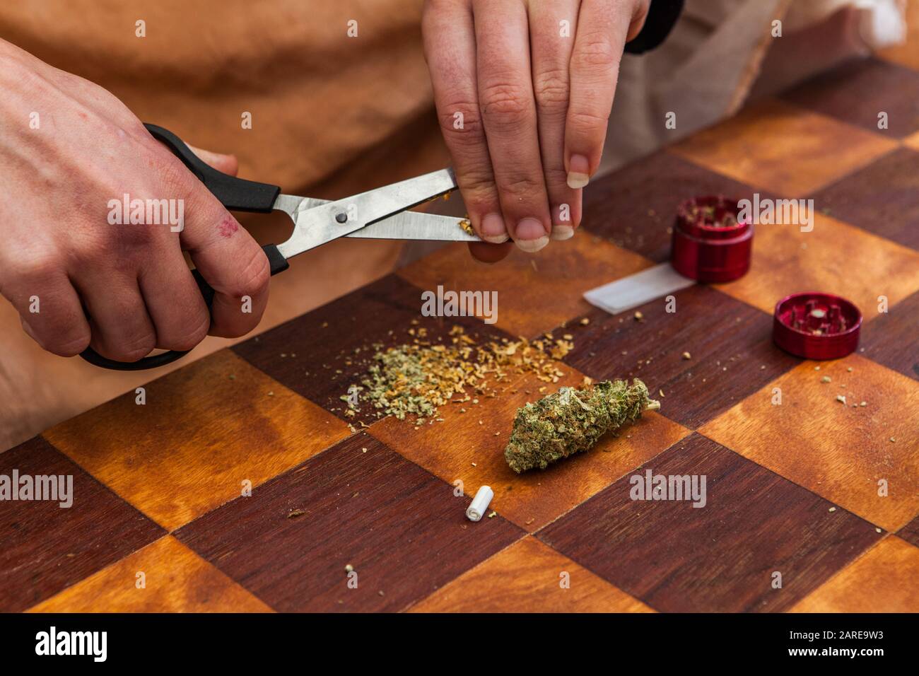 Gros plan de mains coupant finement une partie d'un bourgeon de cannabis avec des ciseaux se préparant à rouler un joint de marijuana sur une table à damier Banque D'Images