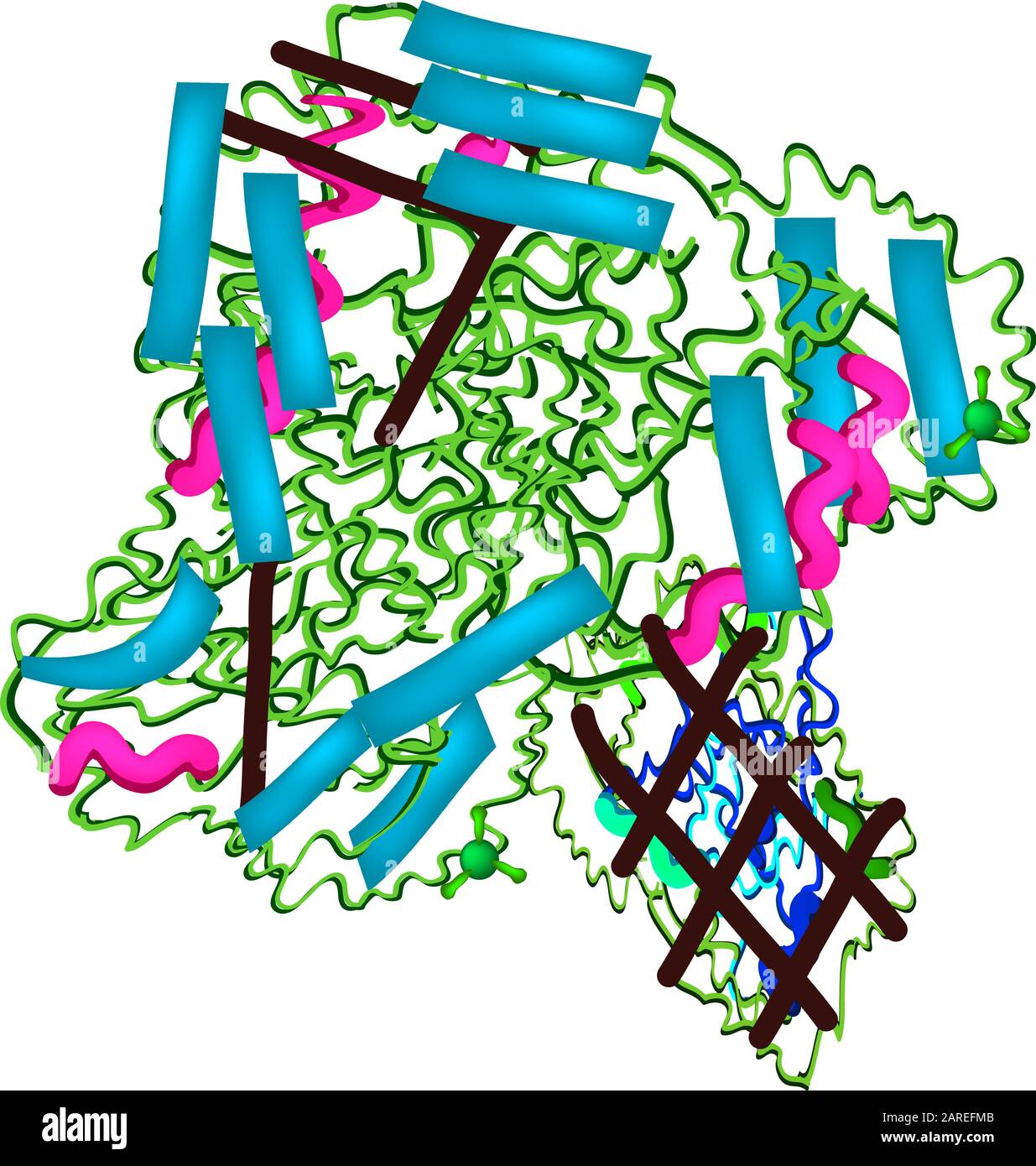 c est quoi lipase La une enzyme scrte par le pancras qui a pour rle d'hydrolyser les esters des triglycrides. Cette hydrolyse permet de librer des acides gras libres qui pourront tre absorbs par 29: Enzymes digestives - BiOutils