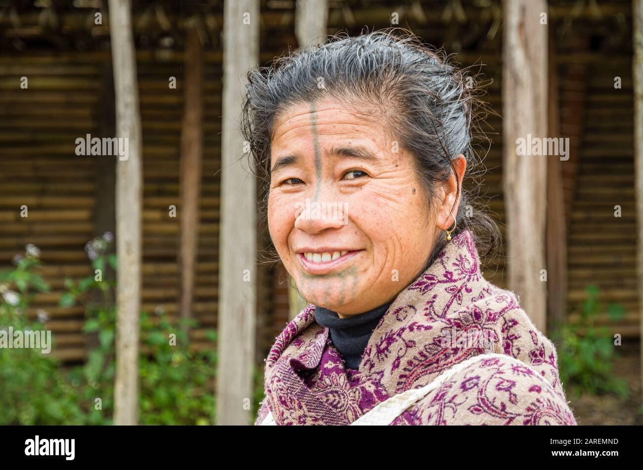Portrait d'une femme d'Apatani sans les disques traditionnels de bambou dans ses narines Banque D'Images