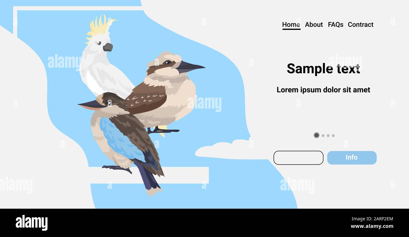 Les oiseaux communs de kookaburra cocatoo caricature des animaux sauvages symbole faune espèce concept plat horizontal copie espace illustration vectorielle Illustration de Vecteur