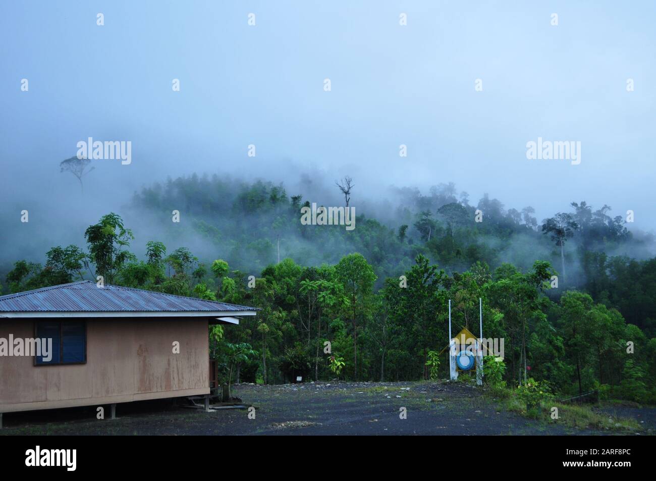 Miri, Sarawak / Malaisie - 7 octobre 2019: Les projets de reforestations de Lana et Paong dans la région du centre de Sarawak. Les sujets sont la pépinière, la logg Banque D'Images