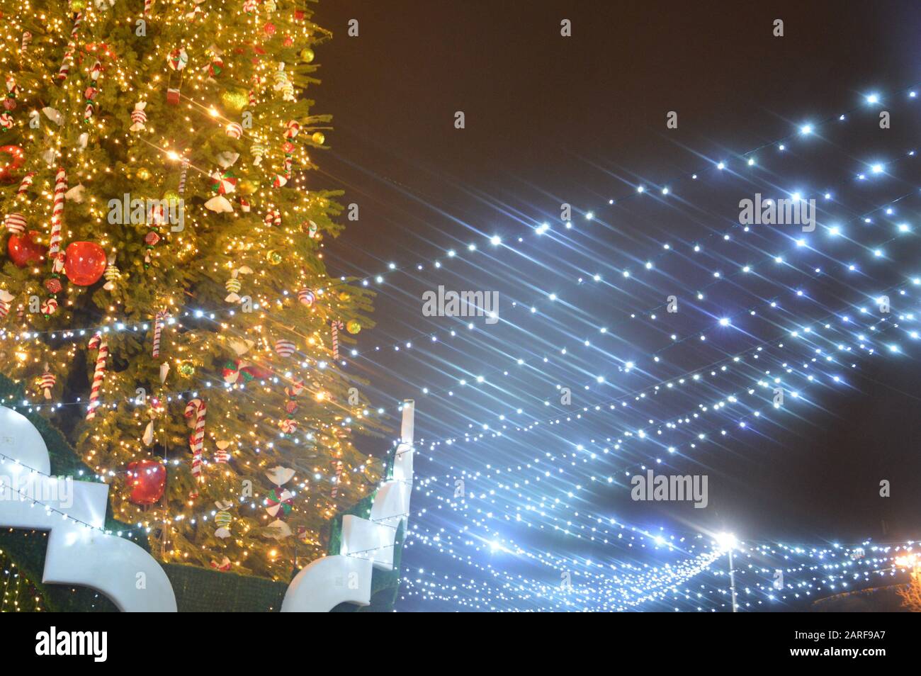 https://c8.alamy.com/compfr/2arf9a7/le-soir-et-la-nuit-l-arbre-de-noel-brille-avec-des-lumieres-dans-la-ville-en-hiver-floute-2arf9a7.jpg