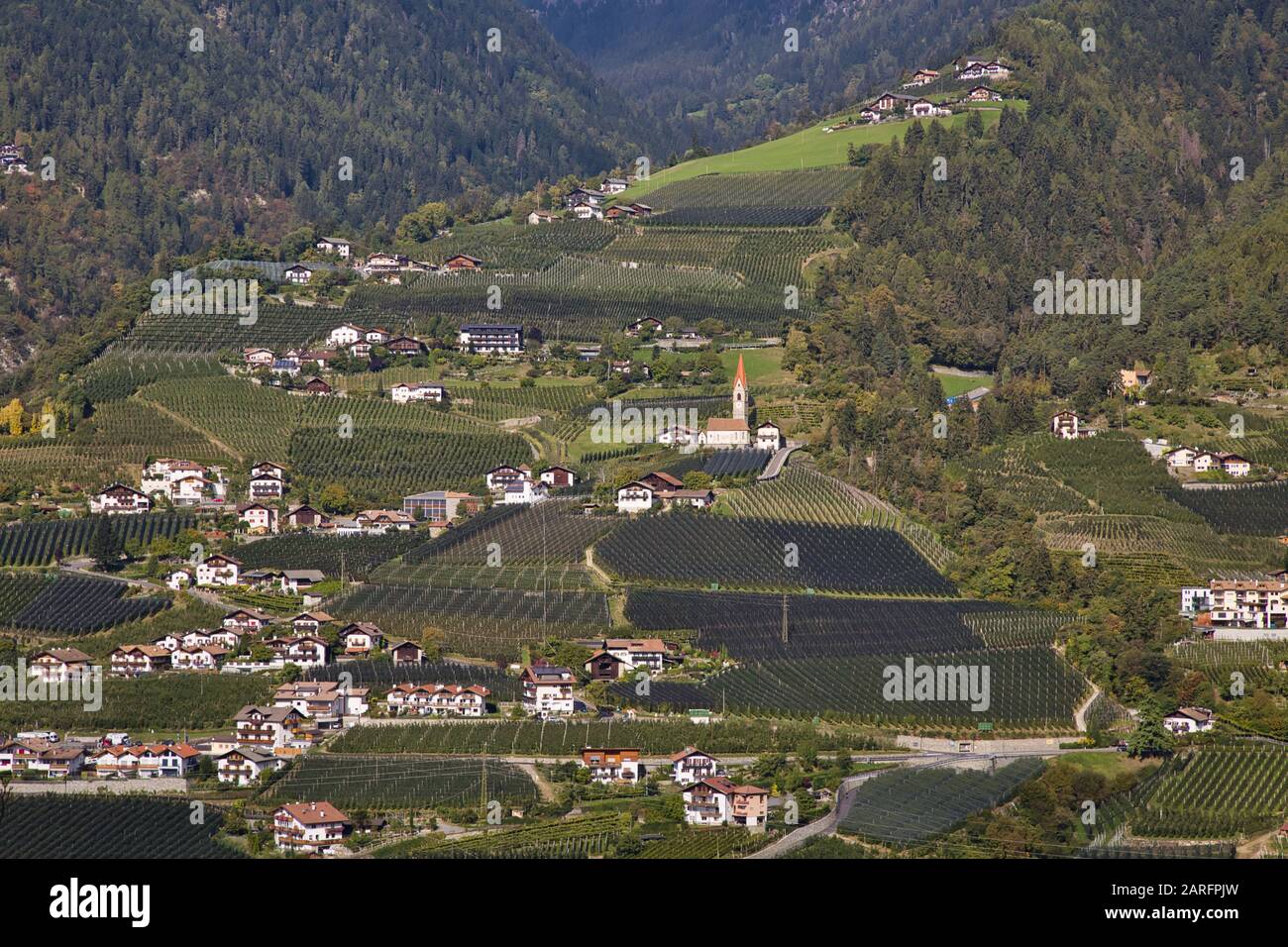 Le village de Riffian et de vergers de pommiers, vue de Schenna, près de Meran, Tyrol du Sud, Italie Banque D'Images