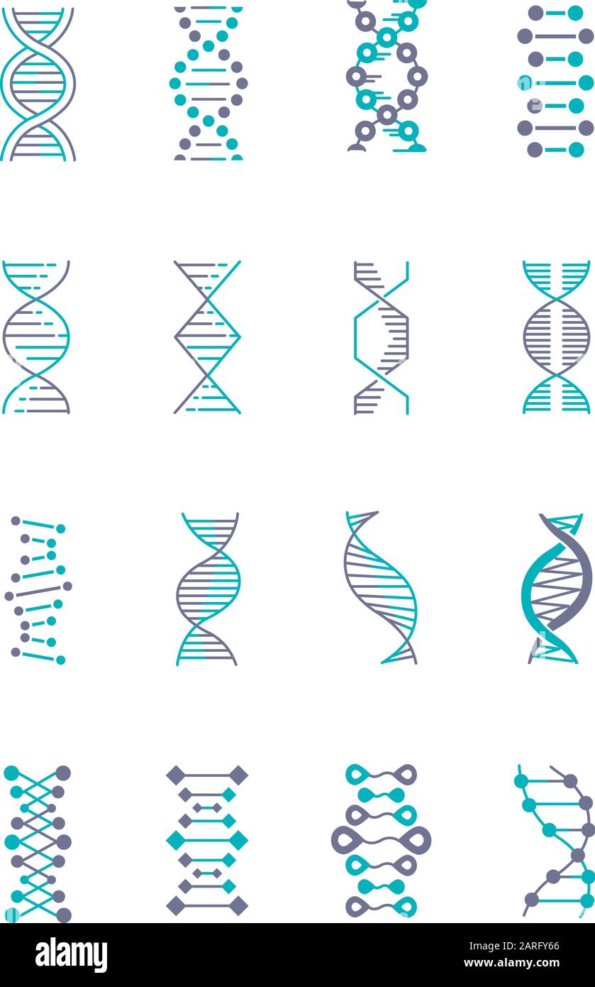 Ensemble d'icônes de couleur violet et turquoise de l'hélice d'ADN. Désoxyribonucléique, structure des acides nucléiques. Brin de spirales. Chromosome. Biologie moléculaire. Morue génétique Illustration de Vecteur
