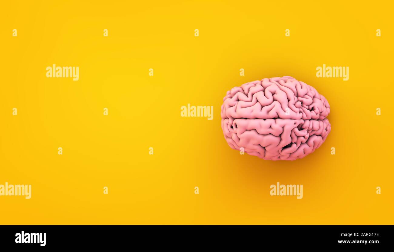 cerveau rose sur arrière-plan tridimensionnel jaune Banque D'Images