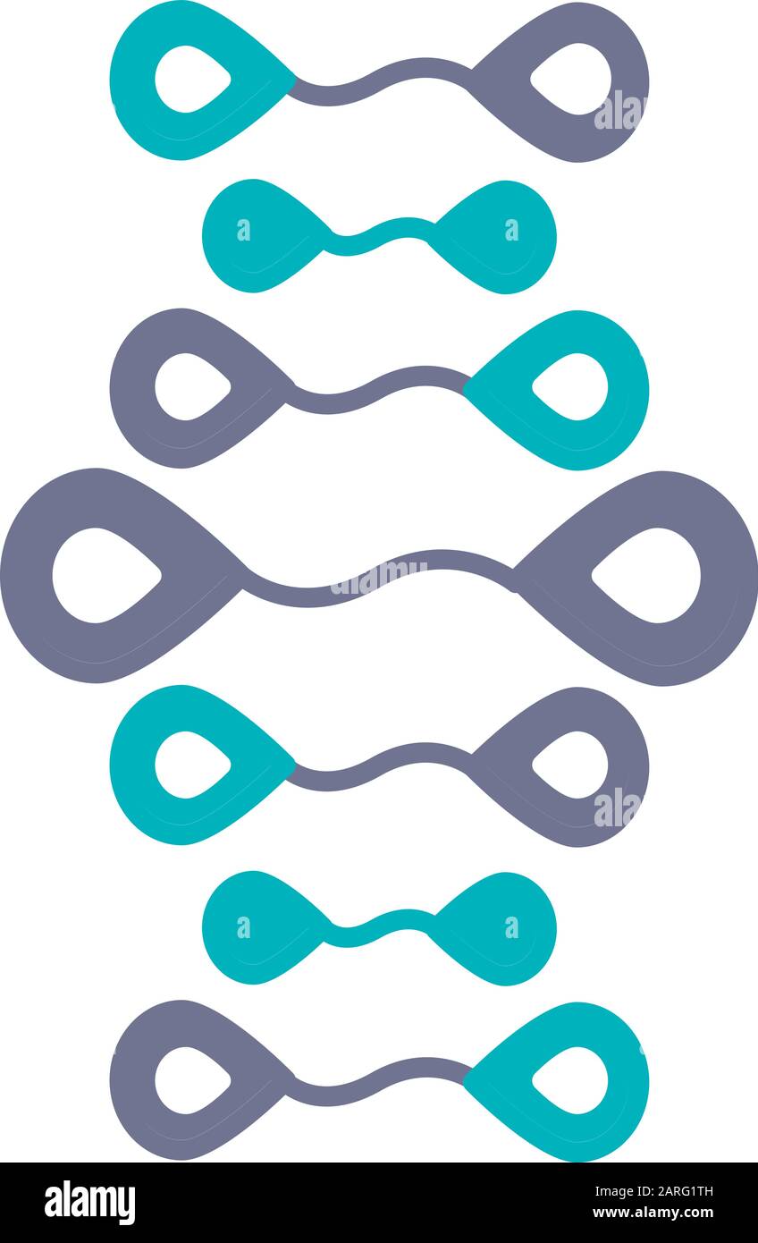 Icône de couleur violet et turquoise des brins d'ADN. Désoxyribonucléique, hélice d'acide nucléique. Brins de spirales. Chromosome. Biologie moléculaire. Génie génétique Illustration de Vecteur