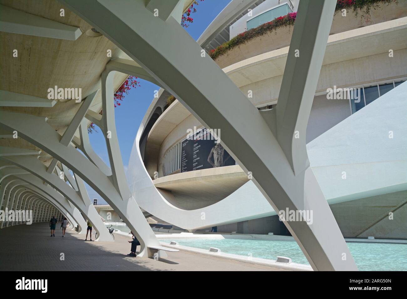 Palau de les Arts Reina Sofia. Ciudad de las Artes y las Ciencias, un complexe architectural, culturel et de divertissement conçu par Santiago Banque D'Images