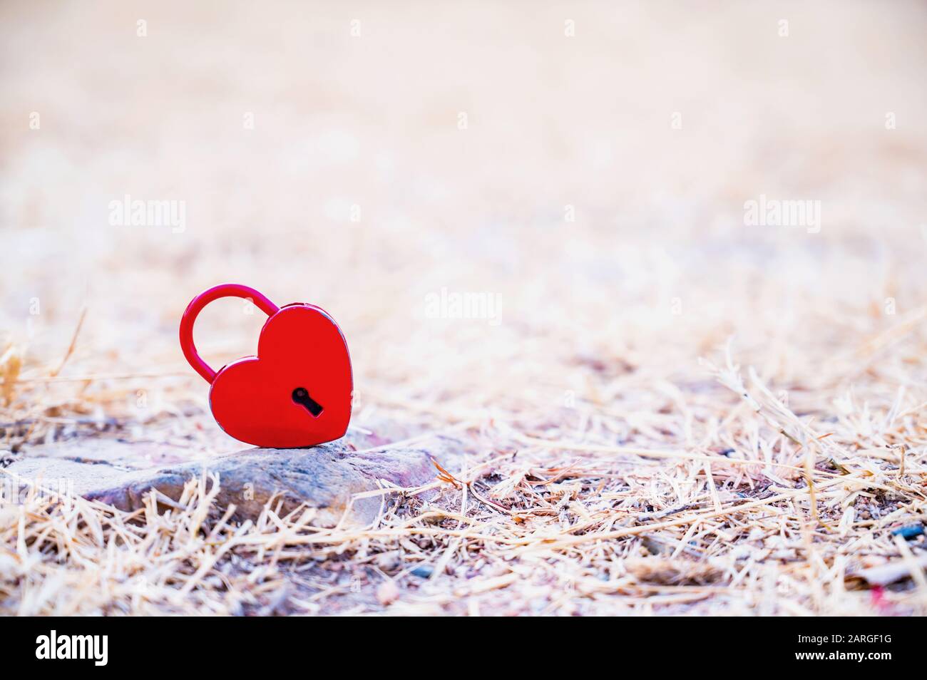 Saint-Valentin et concept d'amour avec cadenas en forme de coeur. Touche la plus douce et symbole romantique pour déverrouiller. Banque D'Images