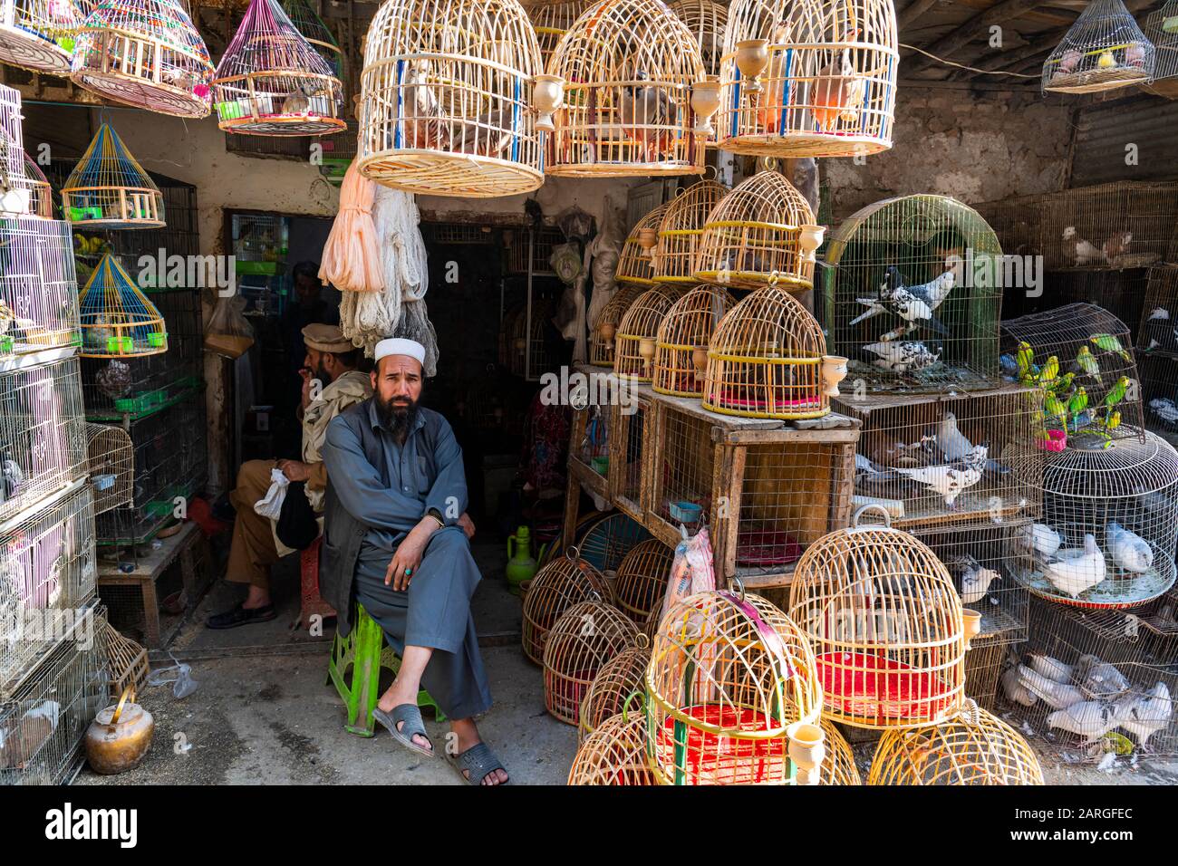 Oiseaux À Vendre, Rue Bird, Kaboul, Afghanistan, Asie Banque D'Images