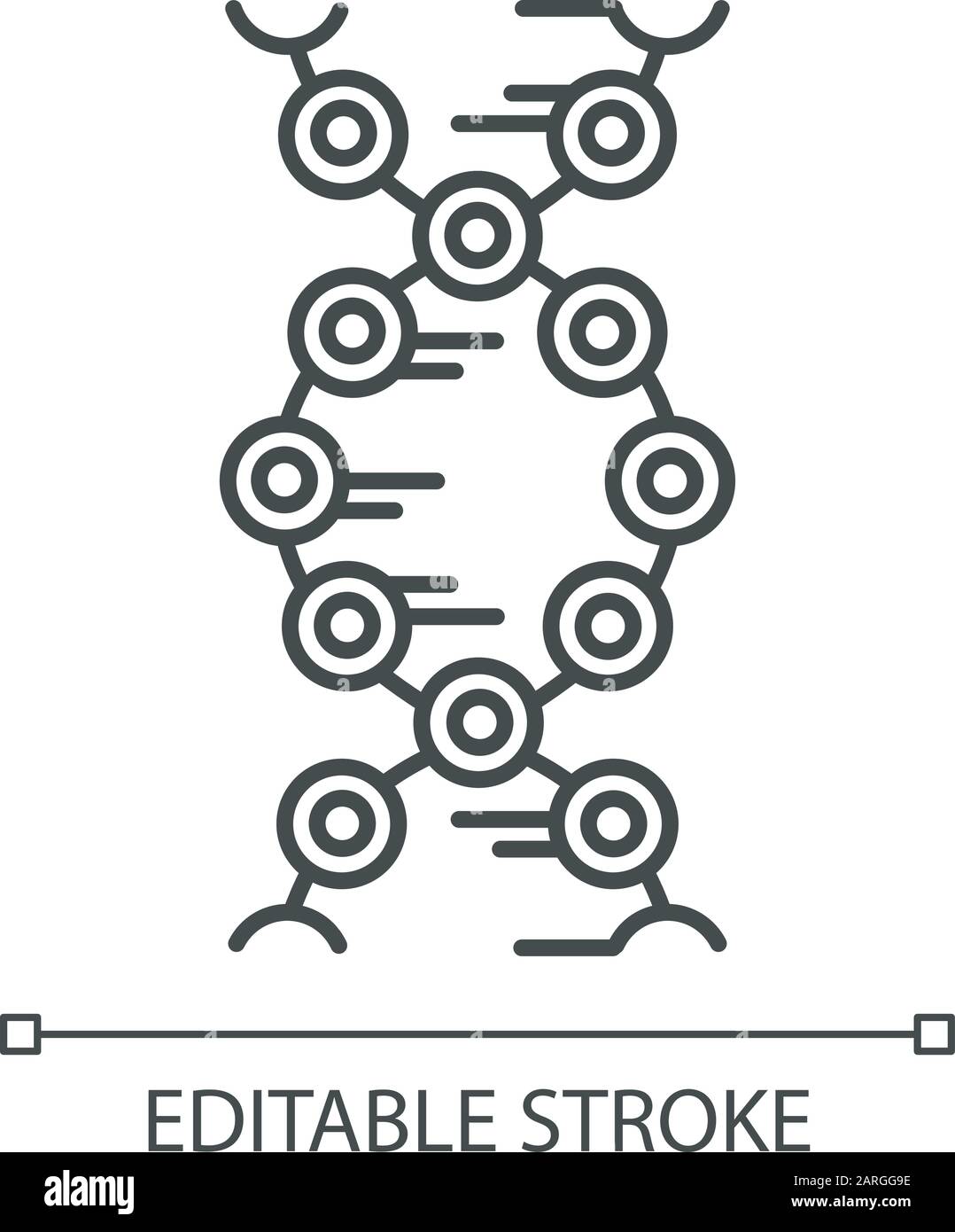 Icône linéaire de brins d'ADN. Cercles, lignes connectés. Désoxyribonucléique, hélice d'acide nucléique. Chromosome. Génétique. Illustration de la ligne fine. Symbole de contour. Illustration de Vecteur
