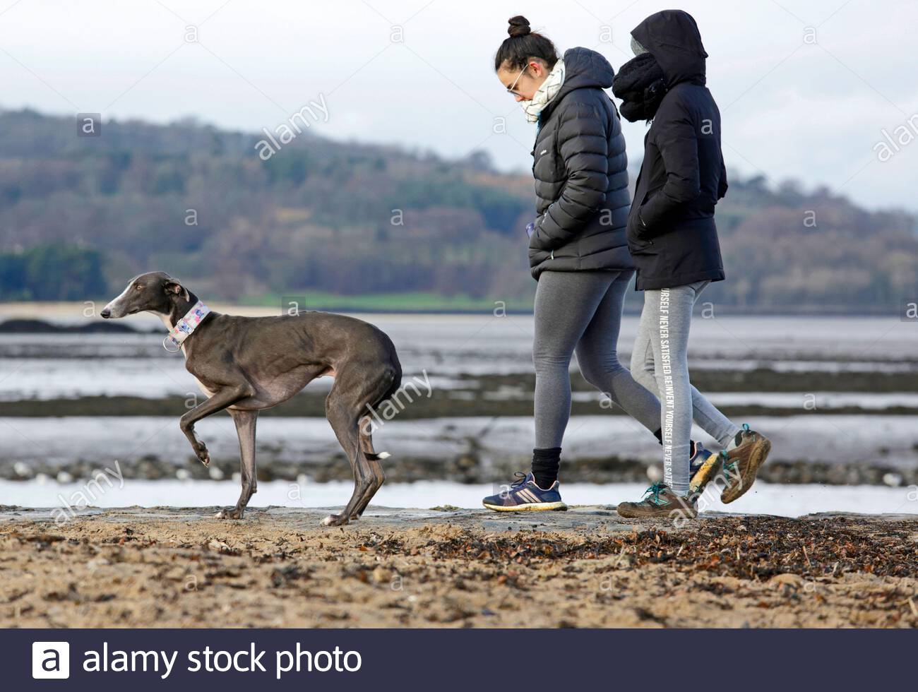 Édimbourg, Écosse, Royaume-Uni. 28 janvier 2020. Marchez en chien et profitez de l'extérieur sur une promenade froide et surmoulée de Cramond. Crédit: Craig Brown/Alay Live News Banque D'Images