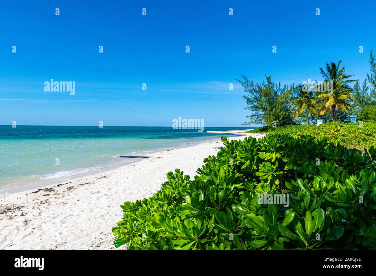 Plage De Sable Blanc, Water Cay, Grand Cayman, Îles Caïmanes, Caraïbes, Amérique Centrale Banque D'Images