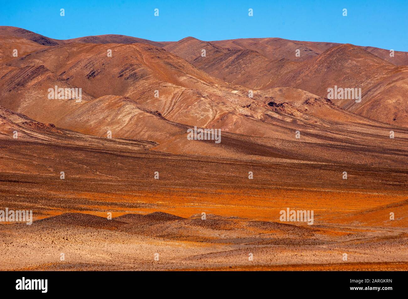 Paysage sur la Ruta 51 près de la frontière avec le Chili à Paso Sico, Argentine Banque D'Images