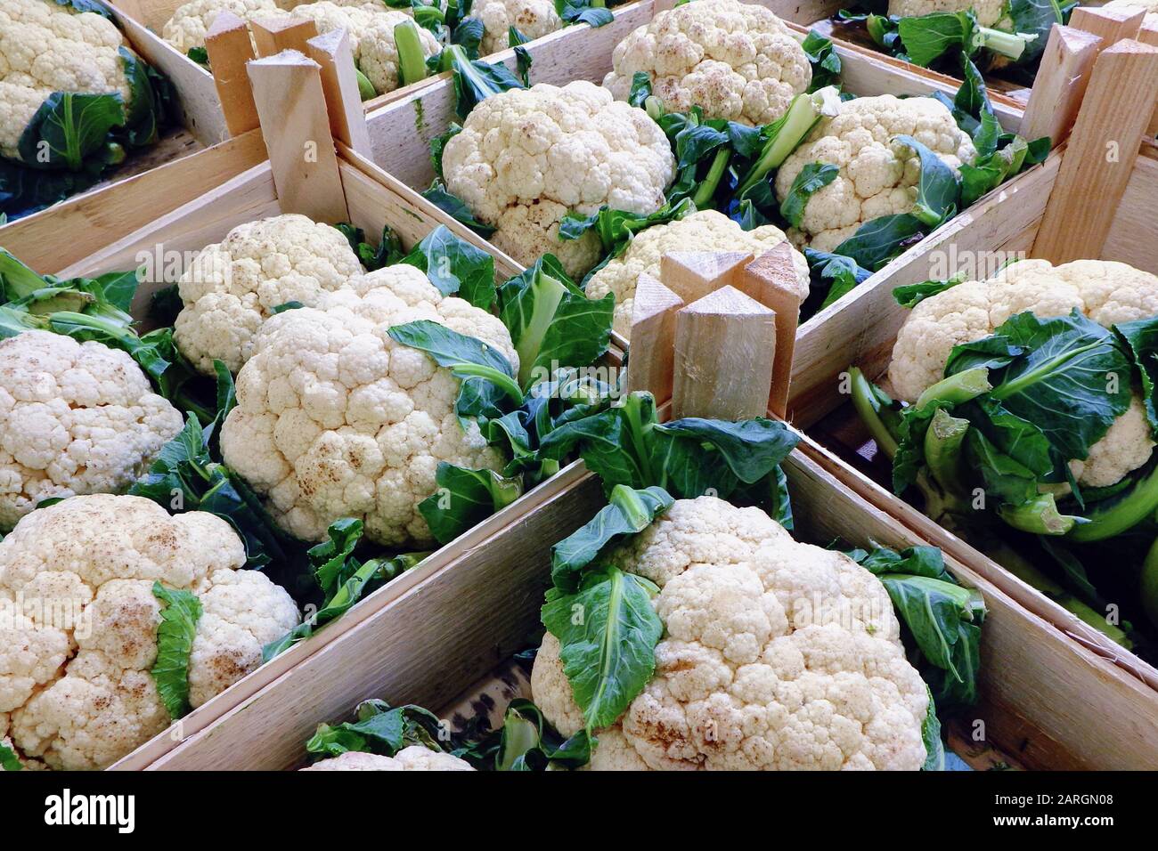 Сauliflowers dans des boîtes en bois, nouvelle récolte, légumes biologiques Banque D'Images