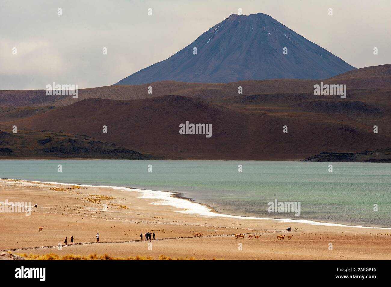 Lac Miscanti Et Volcan, Lacs Altiplanic, Désert D'Atacama, Chili Banque D'Images