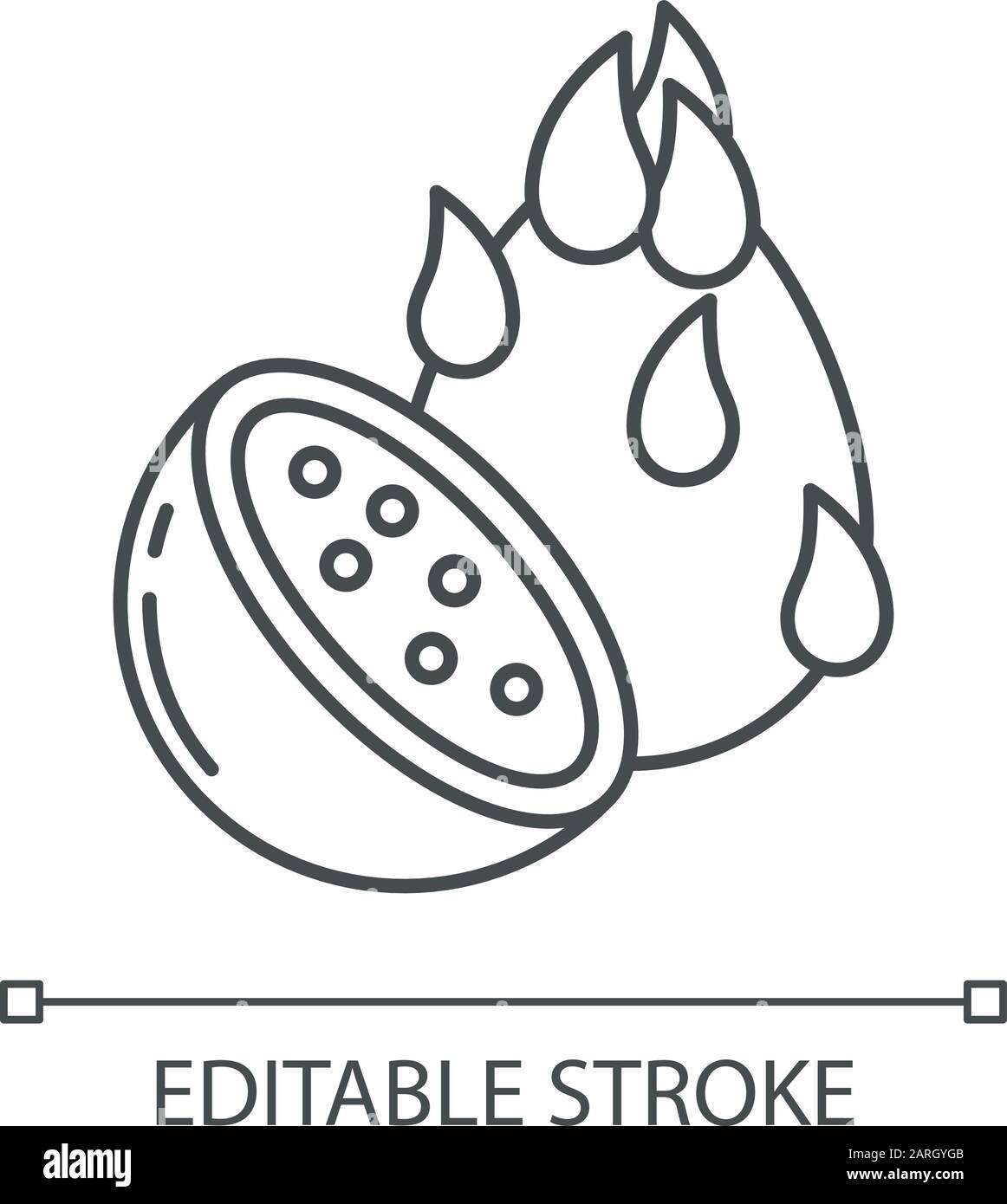 Icône linéaire de fruit de dragon. Pièce de Pitaya. Exploration des spécialités alimentaires. Des îles indonésiennes aux saveurs uniques. Illustration de la ligne fine. Symbole de contour. Vec Illustration de Vecteur