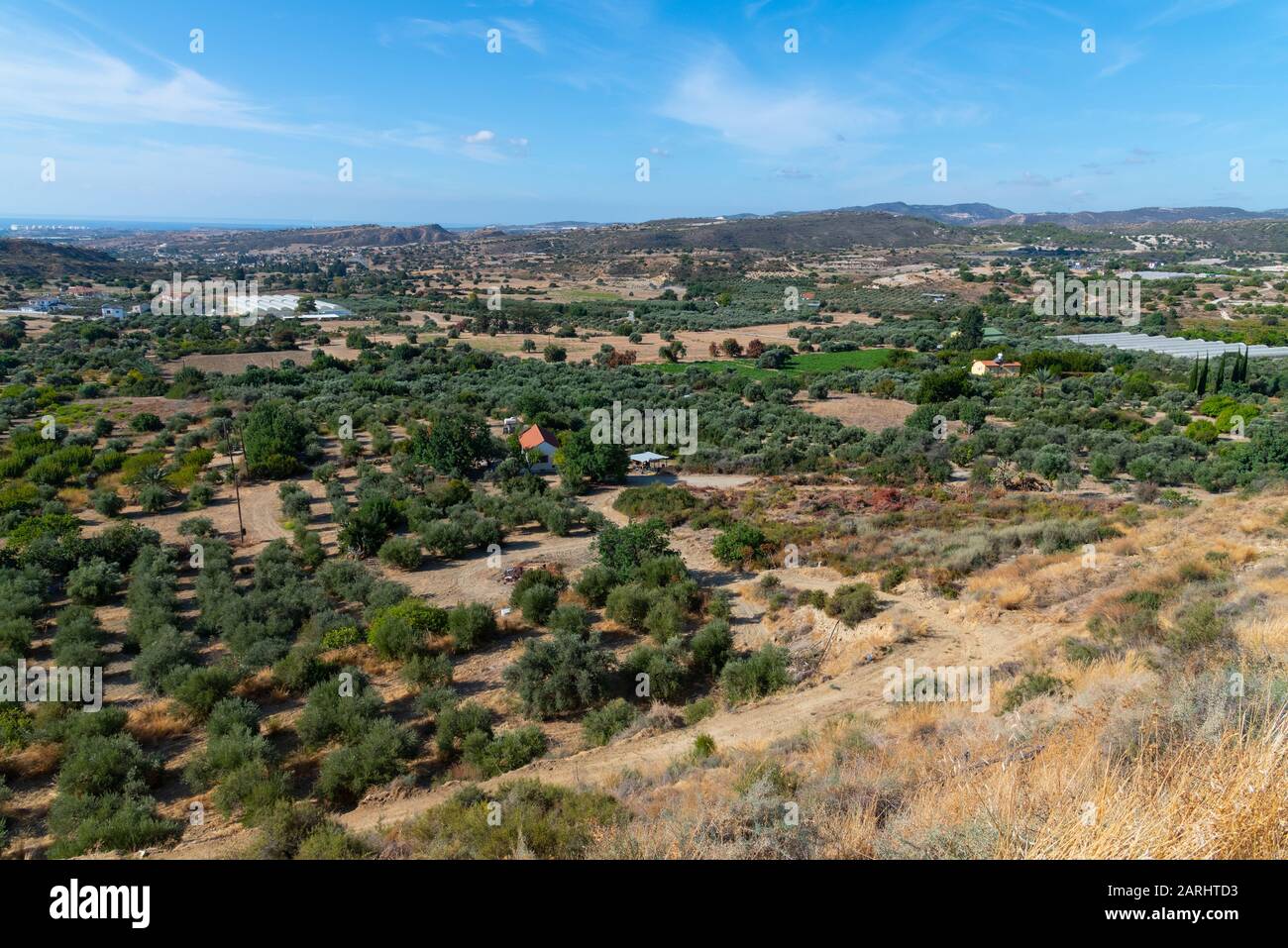 Vallée avec oliviers et maisons rurales. Chypre Banque D'Images