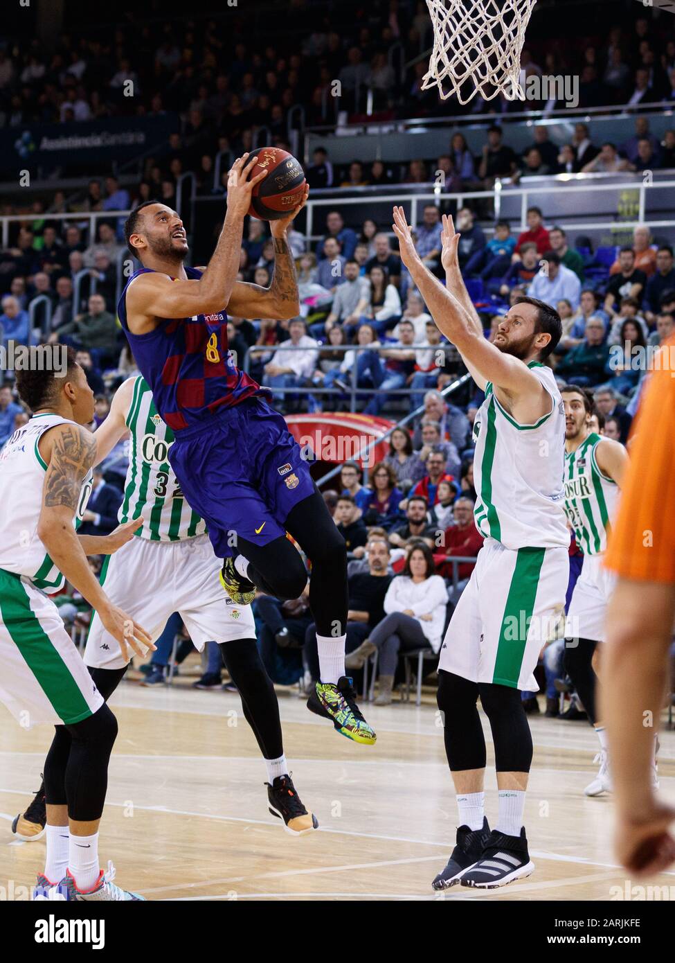 Barcelone, ESPAGNE - 25 JANVIER: Adam Hanga du FC Barcelone lors du match de la Ligue Endesa entre le FC Barcelone et Real Bite au Palau Blaugrana le 2 janvier Banque D'Images