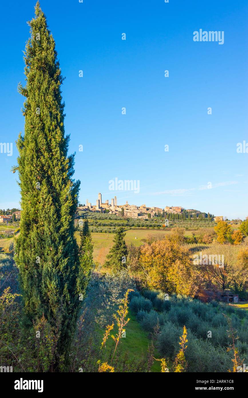 Vue sur la ville italienne de San Gimignano, petite ville fortifiée de colline médiévale en Toscane connue sous le nom de ville des Beaux-tours. Paysage toscan avec collines Banque D'Images