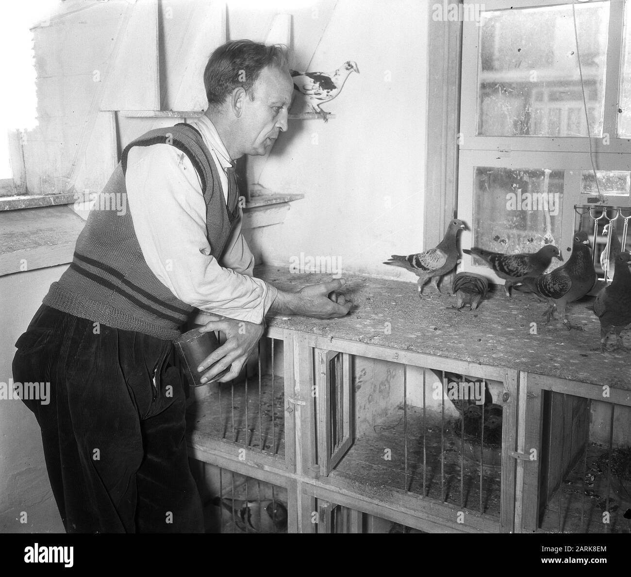 Le sport pigeon dans le Jordaan Date: 25 mai 1955 mots clés: DIVENSPORT Nom personnel: Jordan Banque D'Images