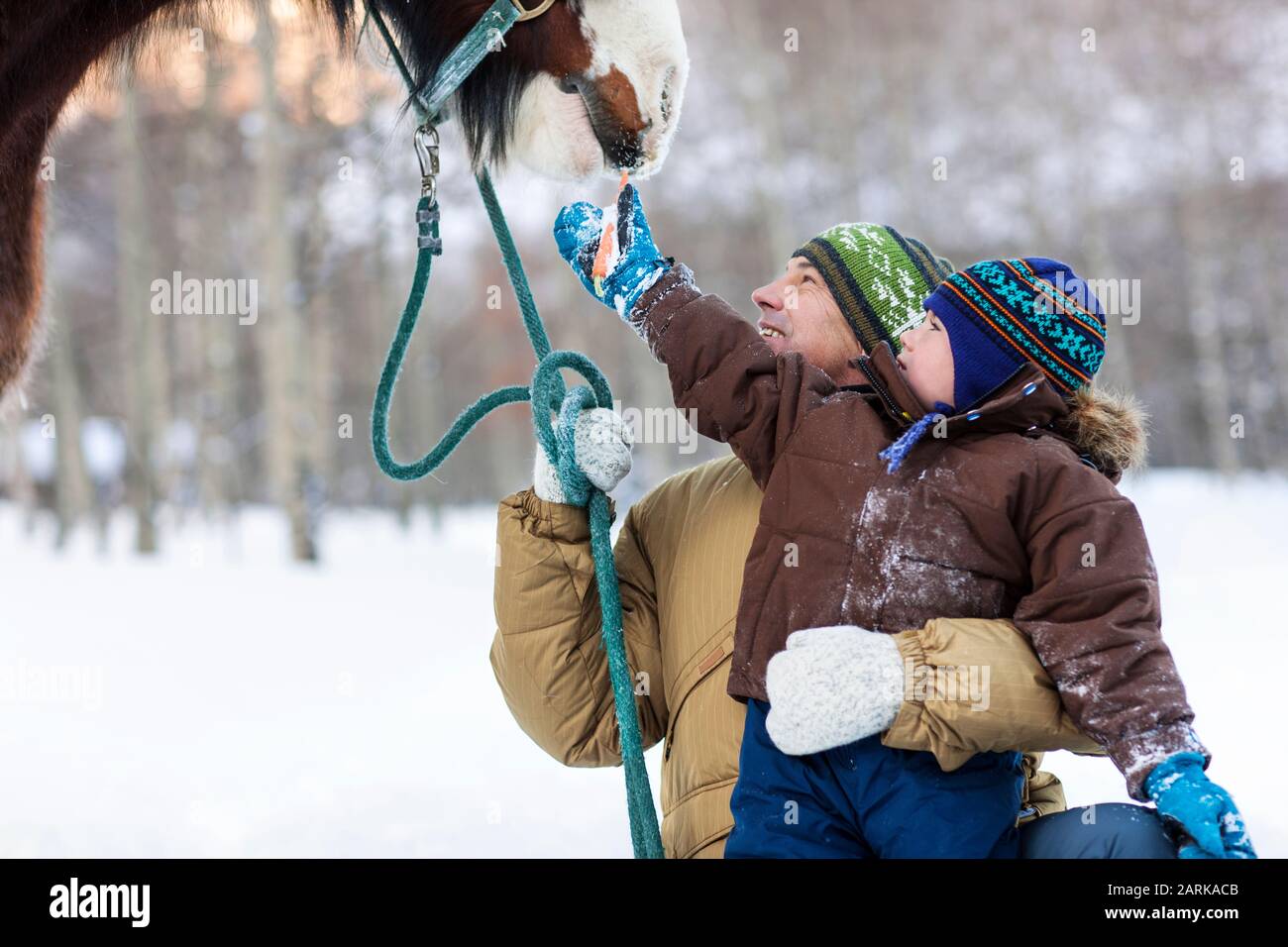 Père et fils souriants nourrissant une carotte à un cheval. Banque D'Images