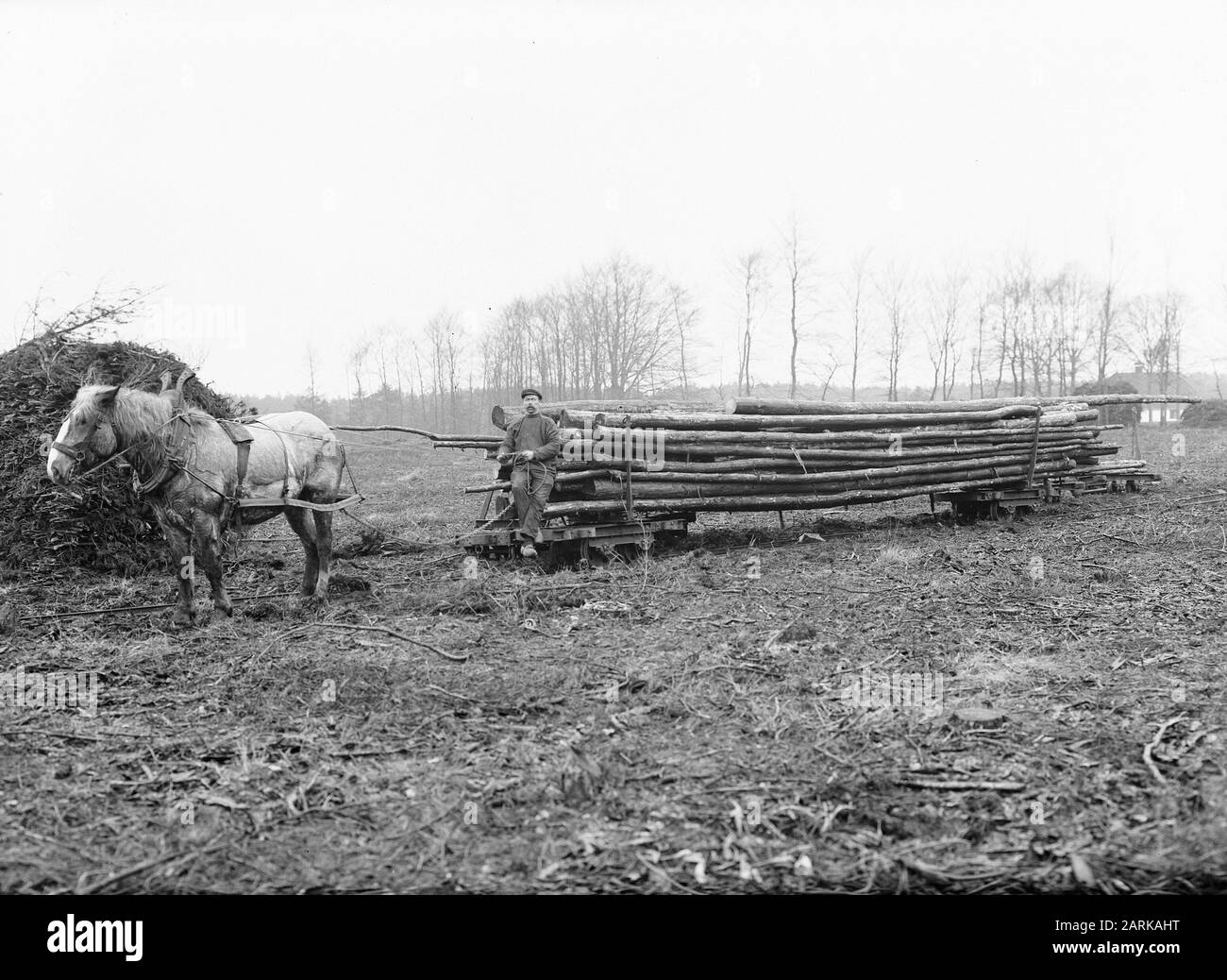 Date d'été: Non daté mots clés: Transport de bois Nom personnel: Den Banque D'Images