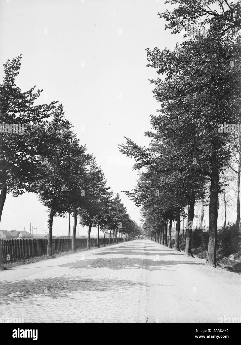 Iepenlaan à Maastricht Date: Non daté lieu: Maastricht mots clés: Arbres, avenues Banque D'Images Iepenlaan à Maastricht Date: Non daté lieu: Maastricht mots clés: Arbres, avenues Banque D'Images