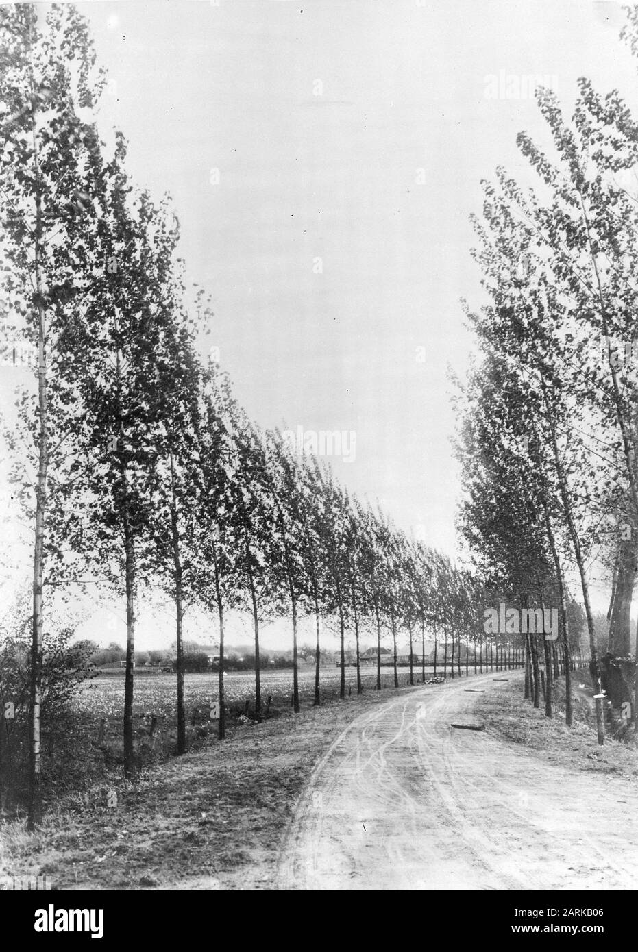 Plantations de routes, avenues, avenue de p robusta, Baak Date: Non daté lieu: Baak mots clés: Voies, plantations de routes Nom personnel: Avenue de p robusta Banque D'Images Plantations de routes, avenues, avenue de p robusta, Baak Date: Non daté lieu: Baak mots clés: Voies, plantations de routes Nom personnel: Avenue de p robusta Banque D'Images