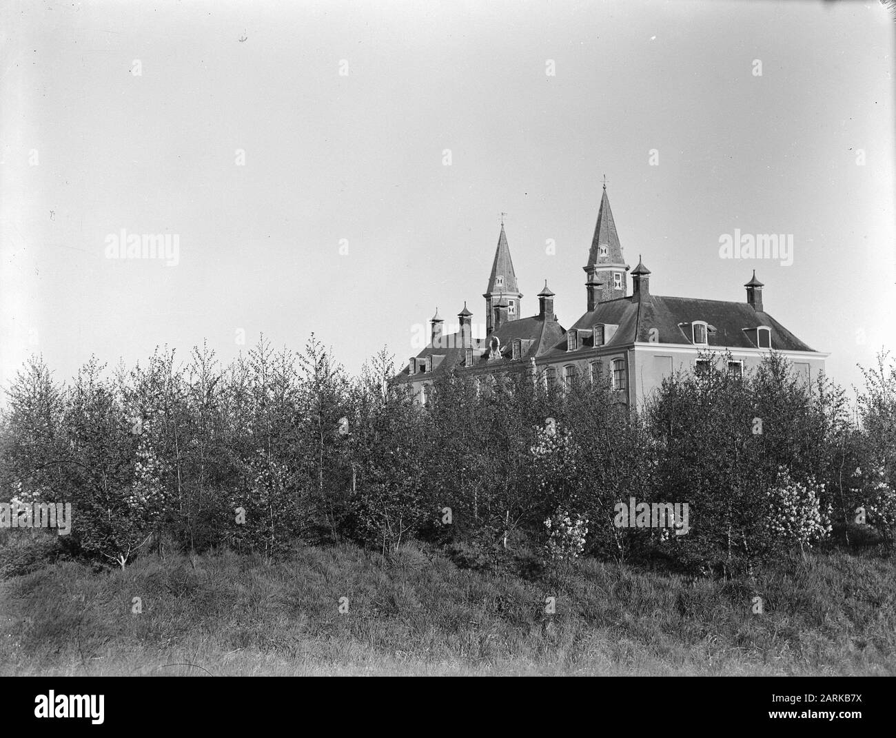 Semis mixtes, nouvelle plantation, Landgoed Ter Hooghe Date: Avril 1952 lieu: Middelburg, Zeeland mots clés: Plantations mixtes, nouvelle plantation Nom personnel: Landgoed Ter Hooghe Banque D'Images