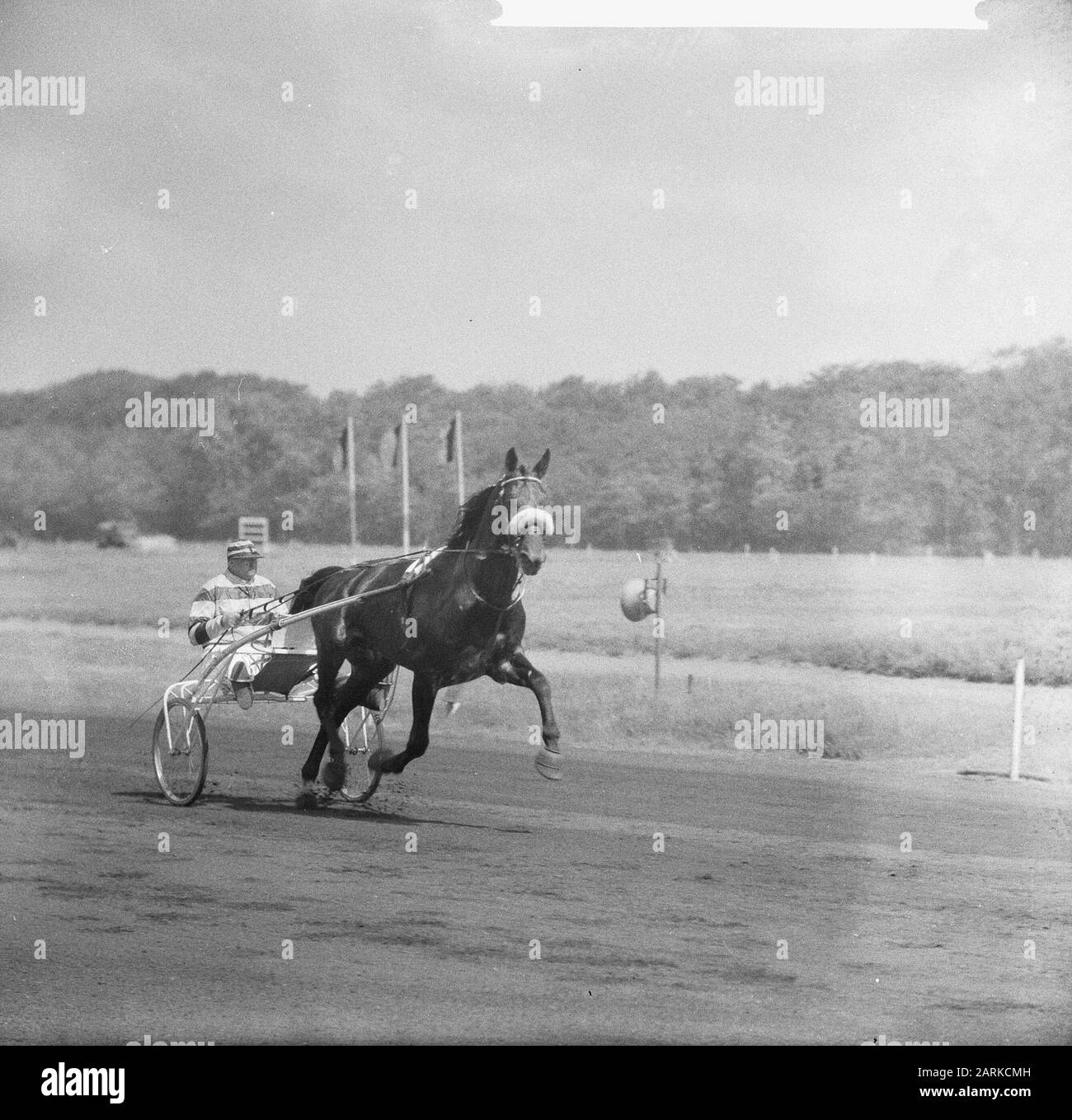Grand Prix der Low Pays Date : 24 juin 1962 mots clés : trotting, équestre Banque D'Images