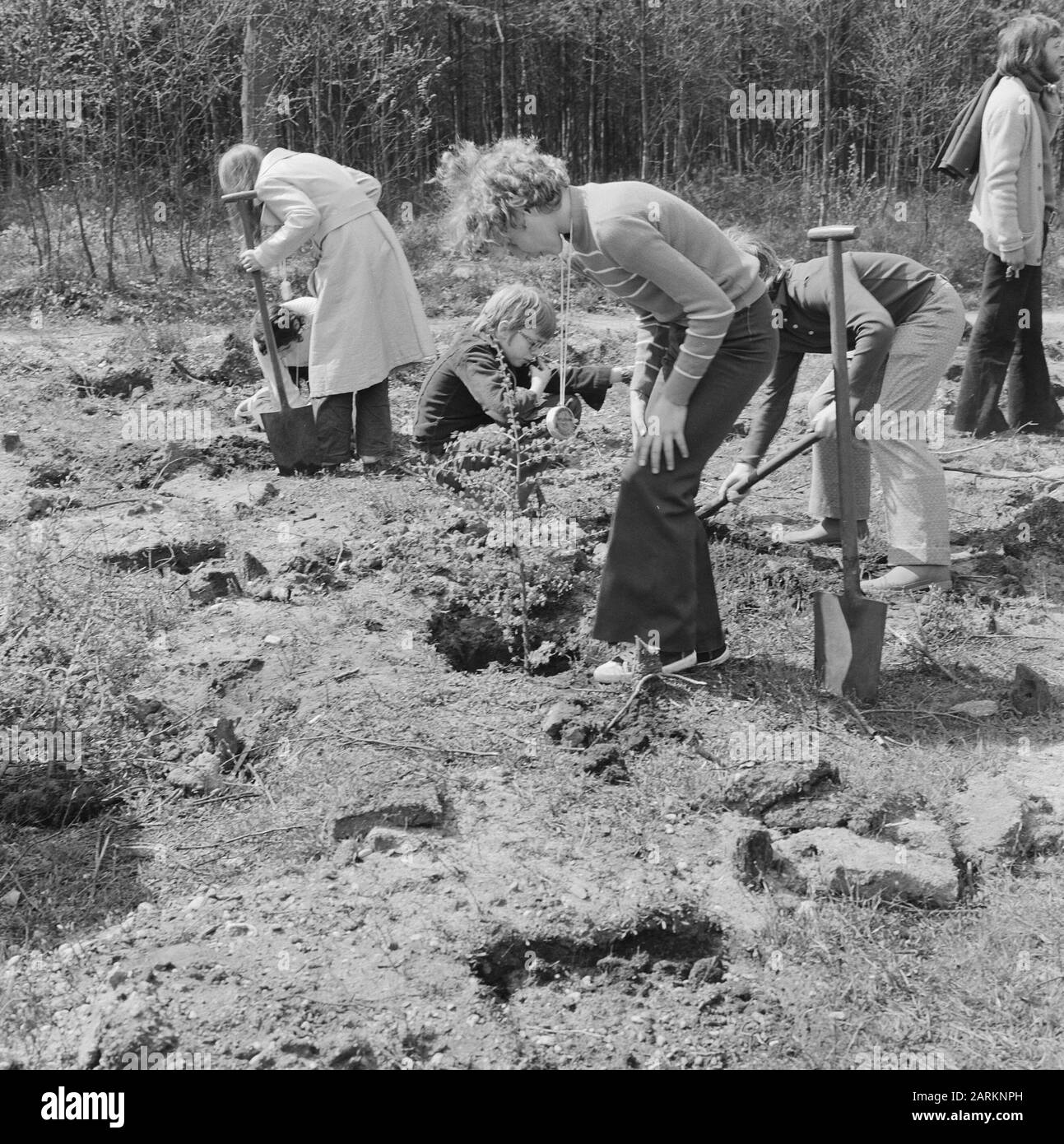 Enfants, plantes, arbres Date : non daté mots clés : arbres, enfants, plantes Banque D'Images