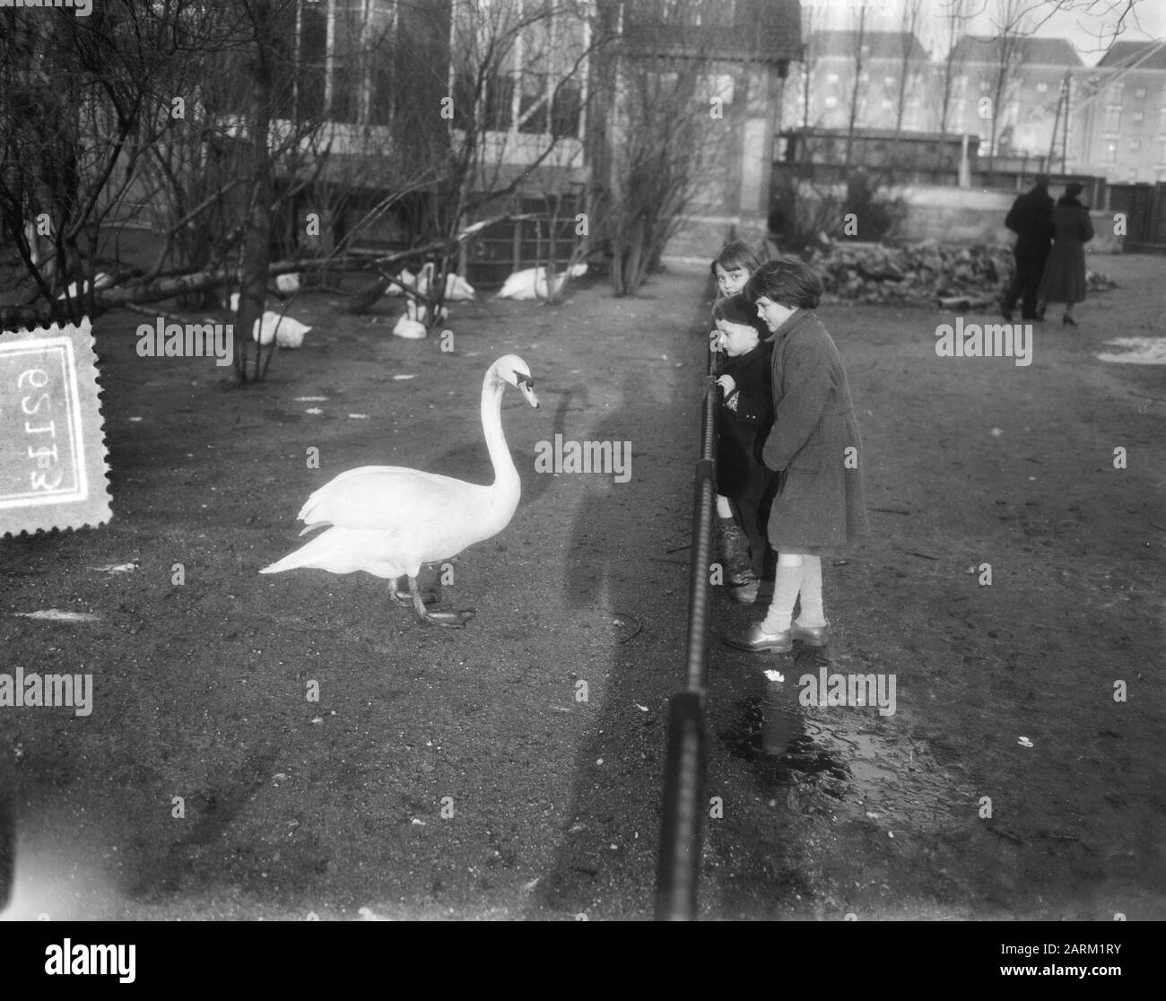 Visite De Noël À Artis Amsterdam Date: 26 Décembre 1953 Lieu: Amsterdam, Noord-Holland Mots Clés: Zoos Nom De L'Établissement: Artis Banque D'Images