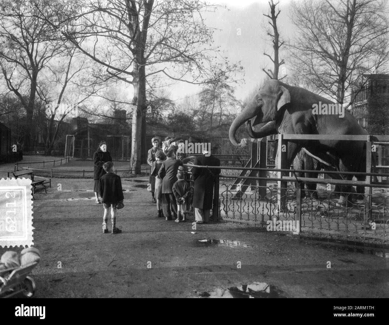 Visite De Noël À Artis Amsterdam Date: 26 Décembre 1953 Lieu: Amsterdam, Noord-Holland Mots Clés: Zoos Nom De L'Établissement: Artis Banque D'Images