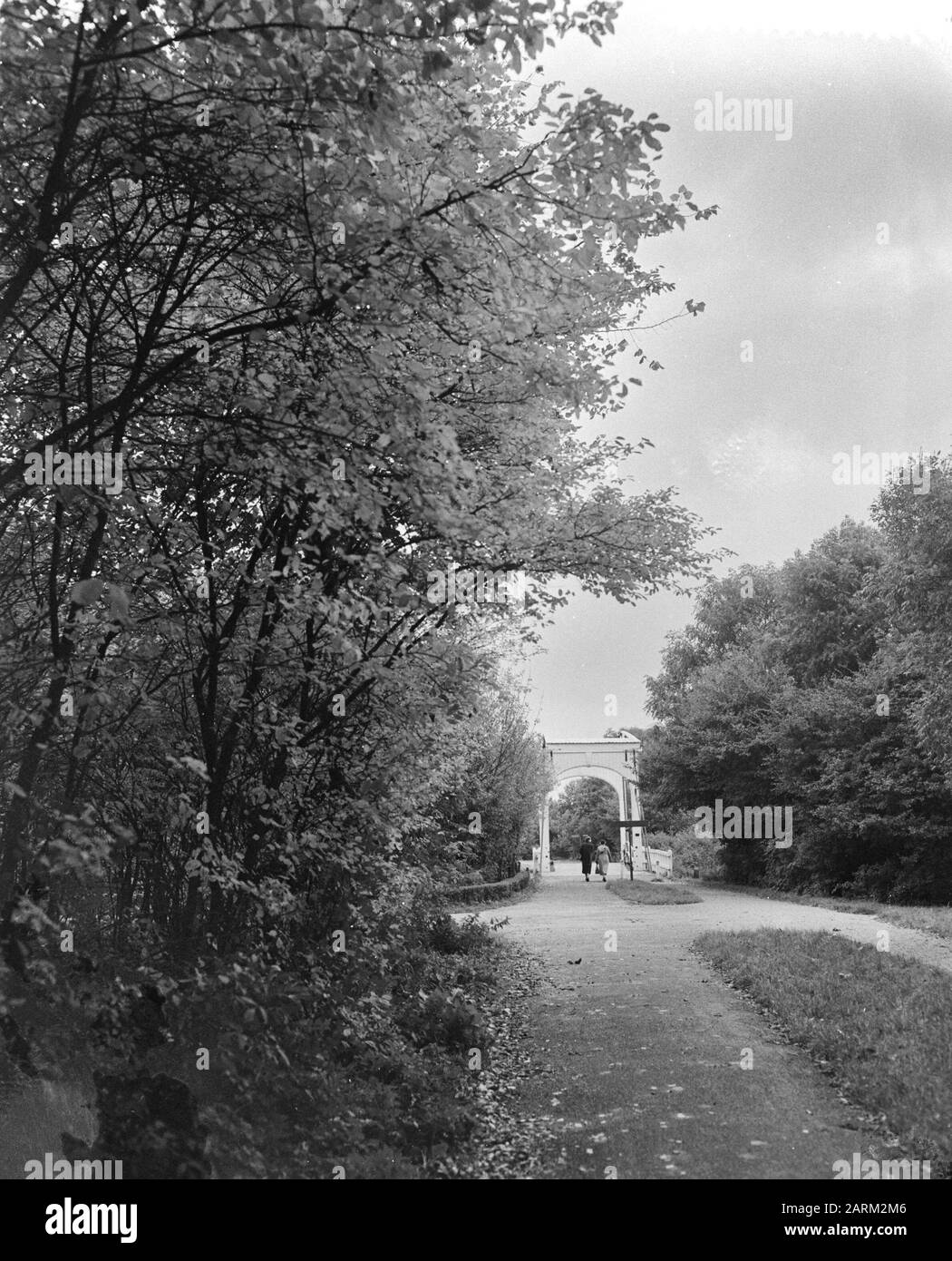 Automne dans la forêt d'Amsterdam Date : 26 octobre 1955 mots clés : forêts, AUTH Banque D'Images