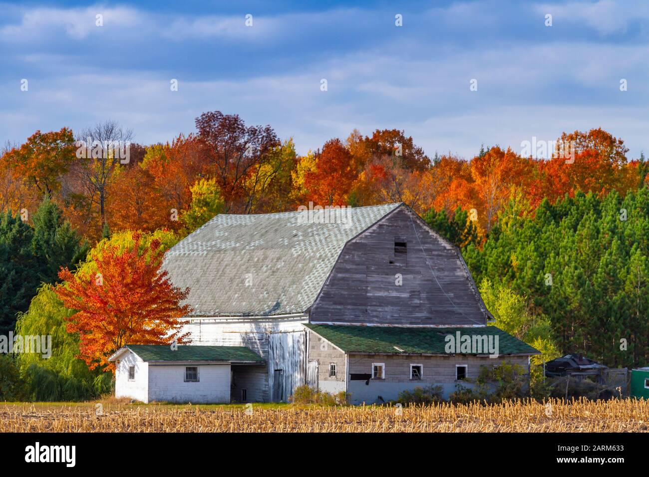 Ancienne grange aux couleurs de feuillage automnale dans la forêt près de Minocqua, Wisconsin, États-Unis. Banque D'Images