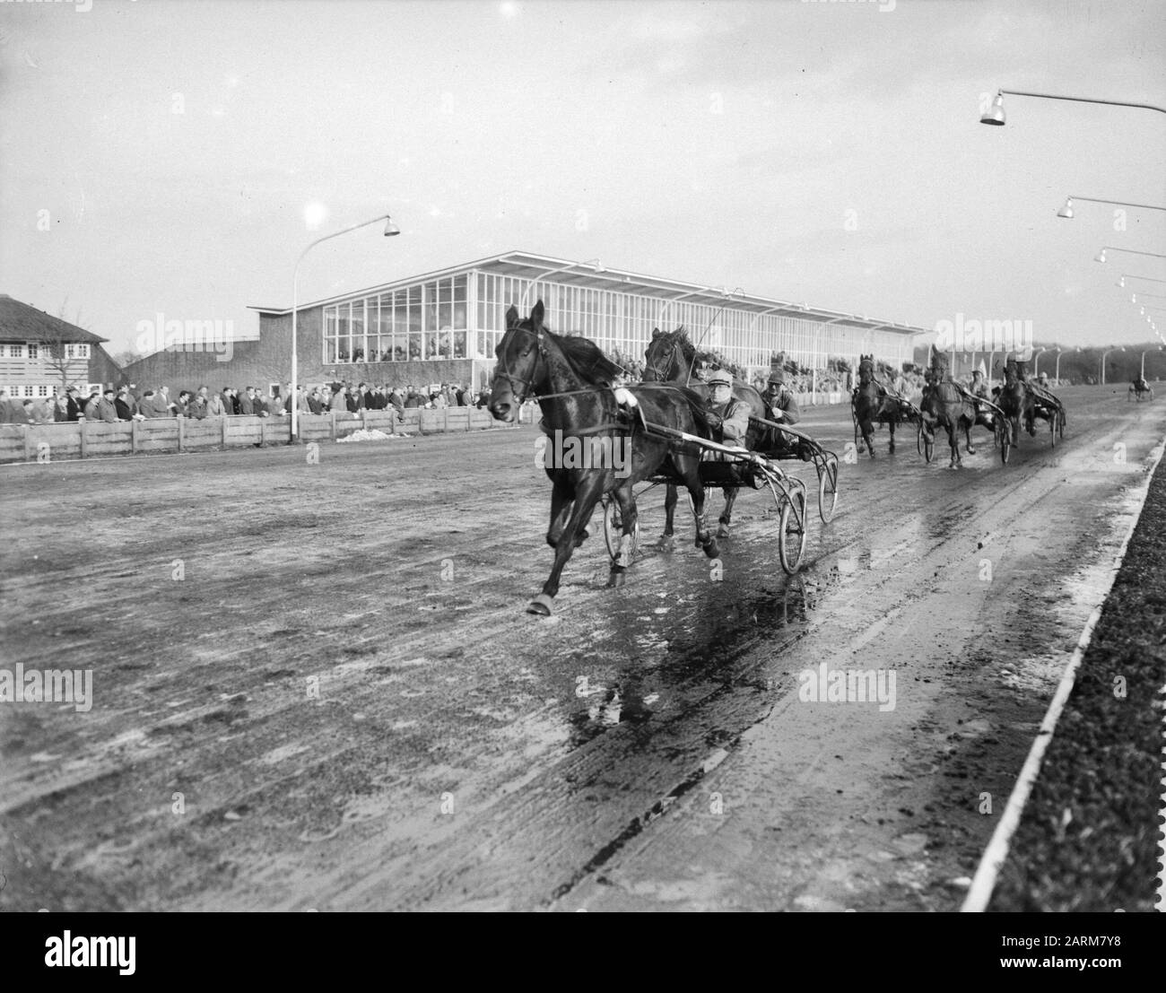Dratters dans le parc sportif de Hilversum, gagnant Spotless Hannover Date : 4 janvier 1959 Banque D'Images