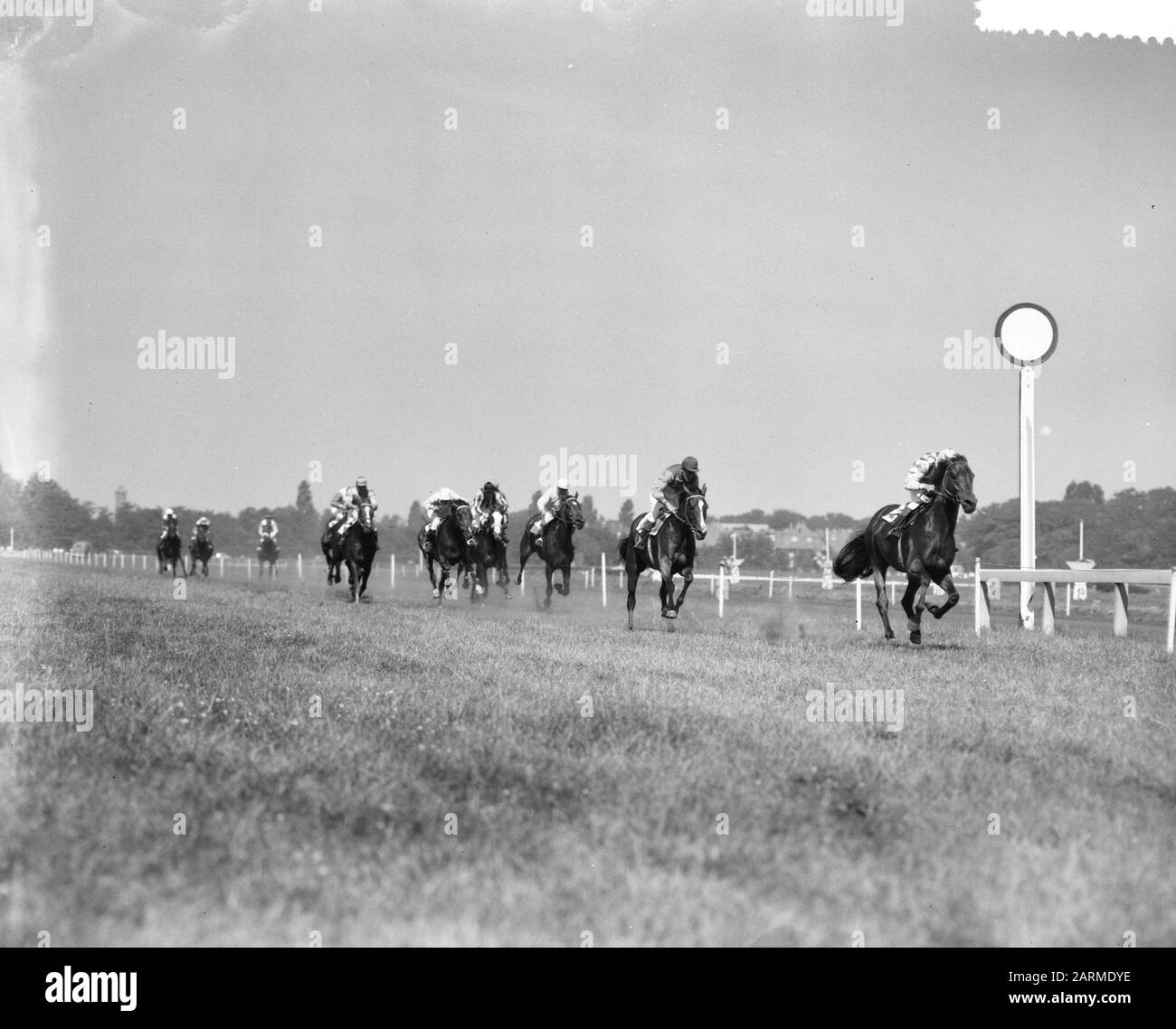Grand Prix Der Low Pays Date: 26 Juin 1960 Mots Clés: Trotting Nom Personnel: Grand Prix Der Low Pays Banque D'Images