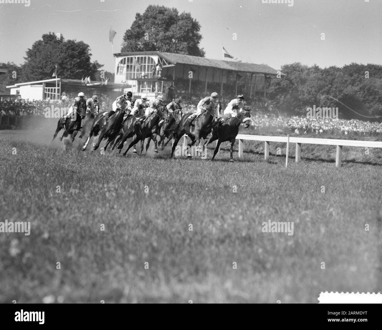 Grand Prix Der Low Pays Date: 26 Juin 1960 Mots Clés: Trotting Nom Personnel: Grand Prix Der Low Pays Banque D'Images