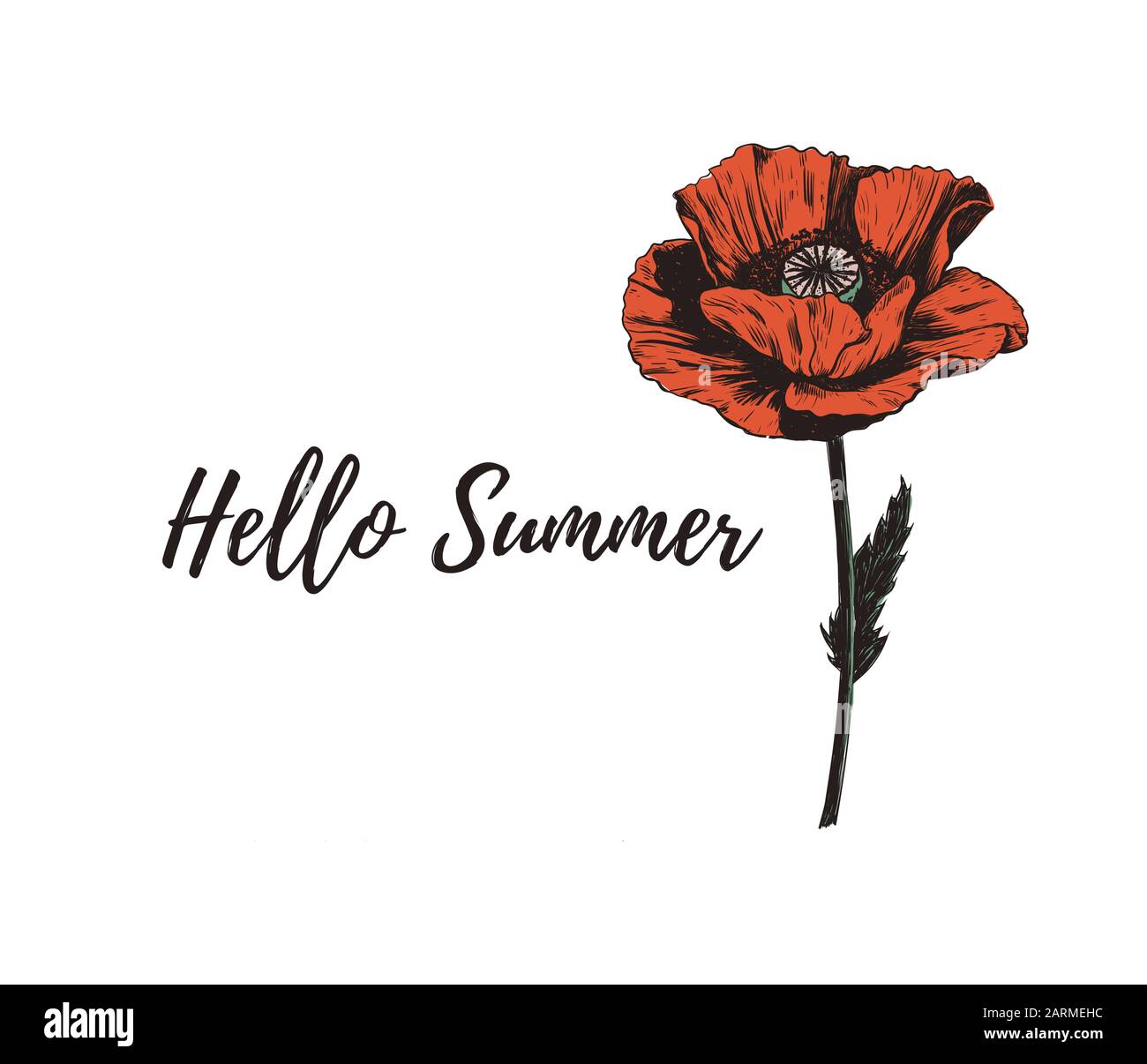Bonjour lettrage d'été avec fleur de pavot. Illustration de Vecteur