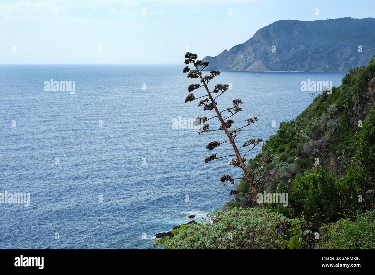 Paysage marin méditerranéen sur le Monterosso à randonnée Vernazza Trail, vue sur le promontoire de retour à Punta Mesco, Cinque Terre, Riviera italienne Banque D'Images