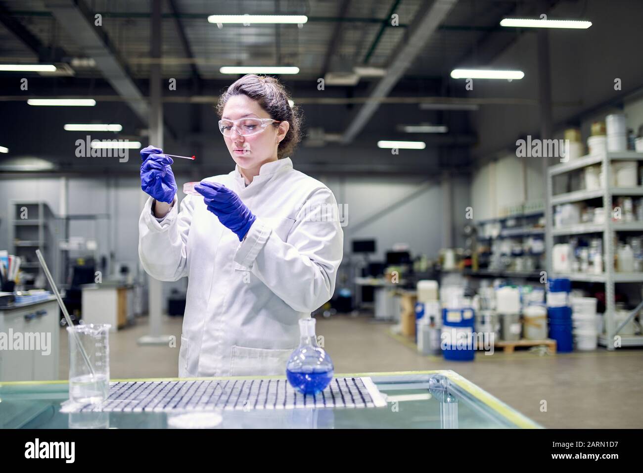 Une femme de laboratoire sérieuse en manteau blanc avec du verre expérimental dans ses mains réalise des expériences sur fond démoqué Banque D'Images