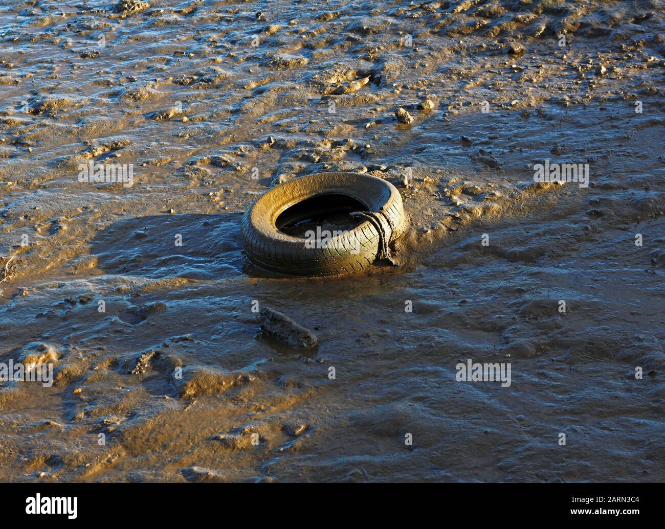 Un vieux pneu en caoutchouc jeté utilisé comme aile de bateau dans la boue à Burnham Overy Staithe, Norfolk, Angleterre, Royaume-Uni, Europe. Banque D'Images