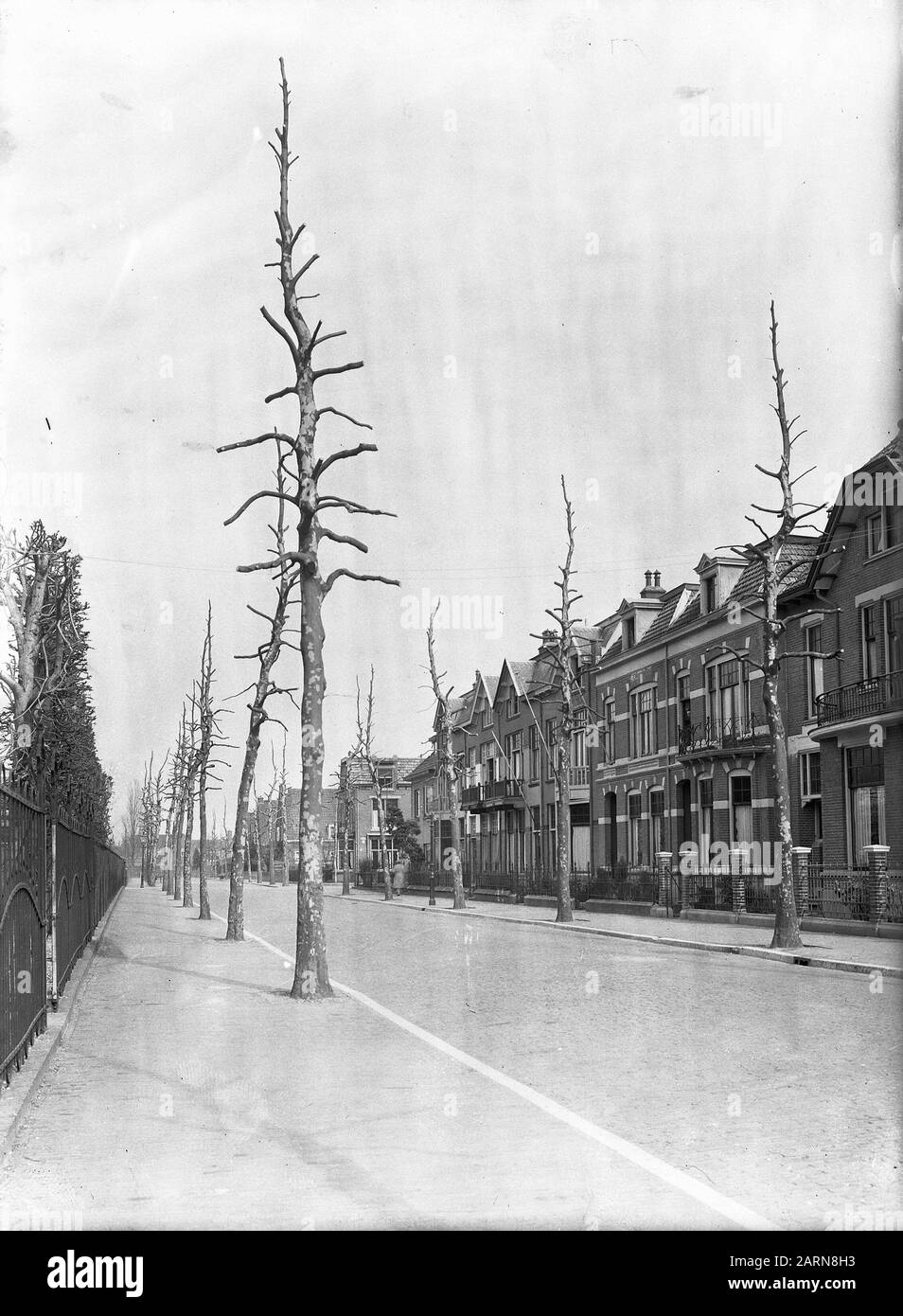 Élagage, plantation Date: Non daté lieu: Deventer mots clés: Plantation, élagage Banque D'Images Élagage, plantation Date: Non daté lieu: Deventer mots clés: Plantation, élagage Banque D'Images
