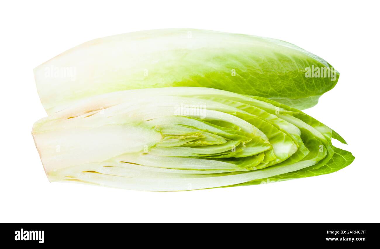 Couper l'endive belge (chicorée commune blanche) isolée sur fond blanc Banque D'Images
