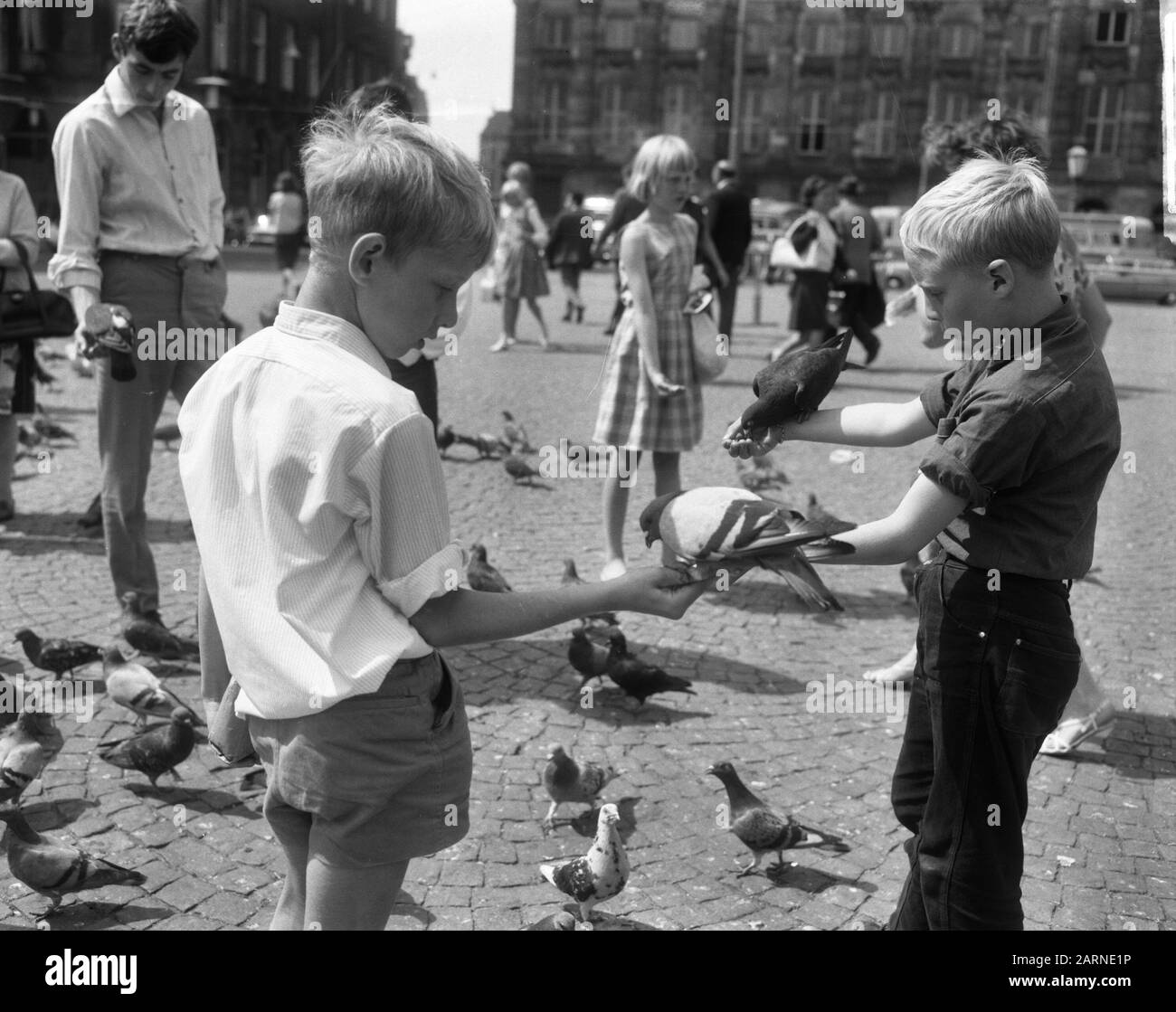 Enfants alimentant des pigeons au barrage Date : 19 août 1965 mots clés : DIVEN, enfants Banque D'Images